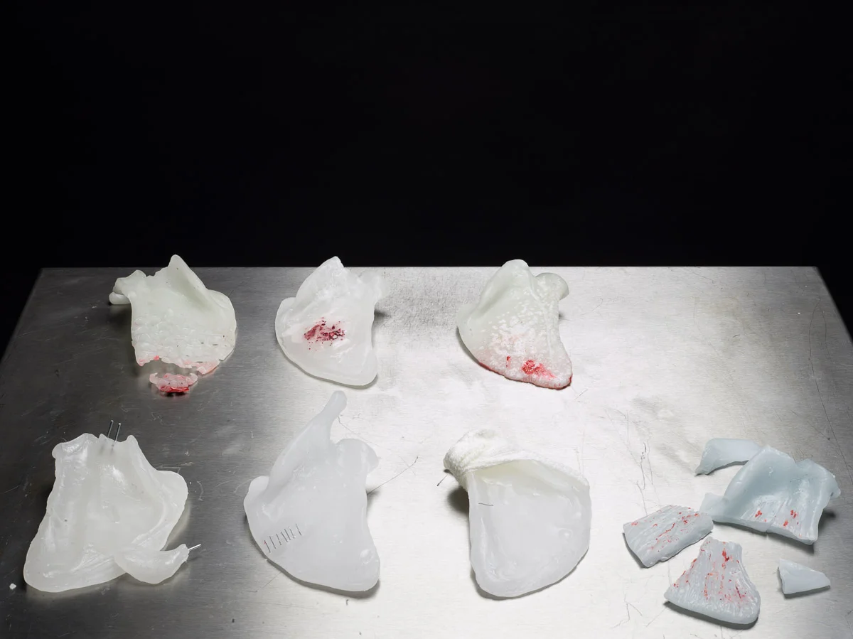 BonesNonWork2015031600167.jpg