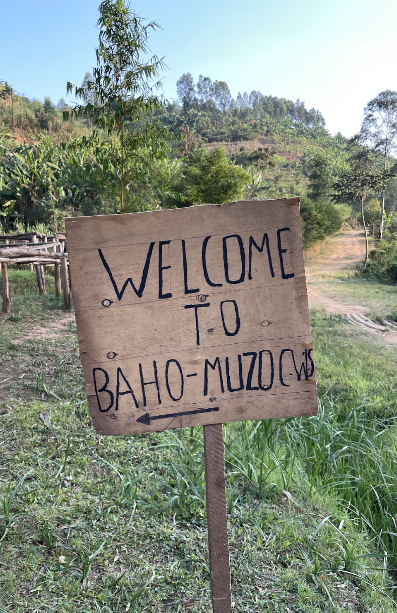 Screen Shot 2023-04-29 at 11.14.23 PM.png