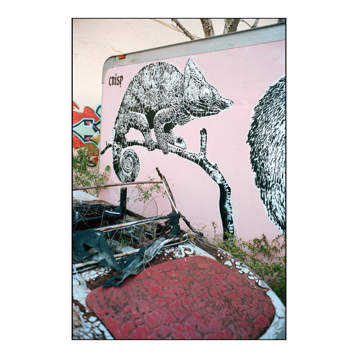 CRISP in Wynwood.