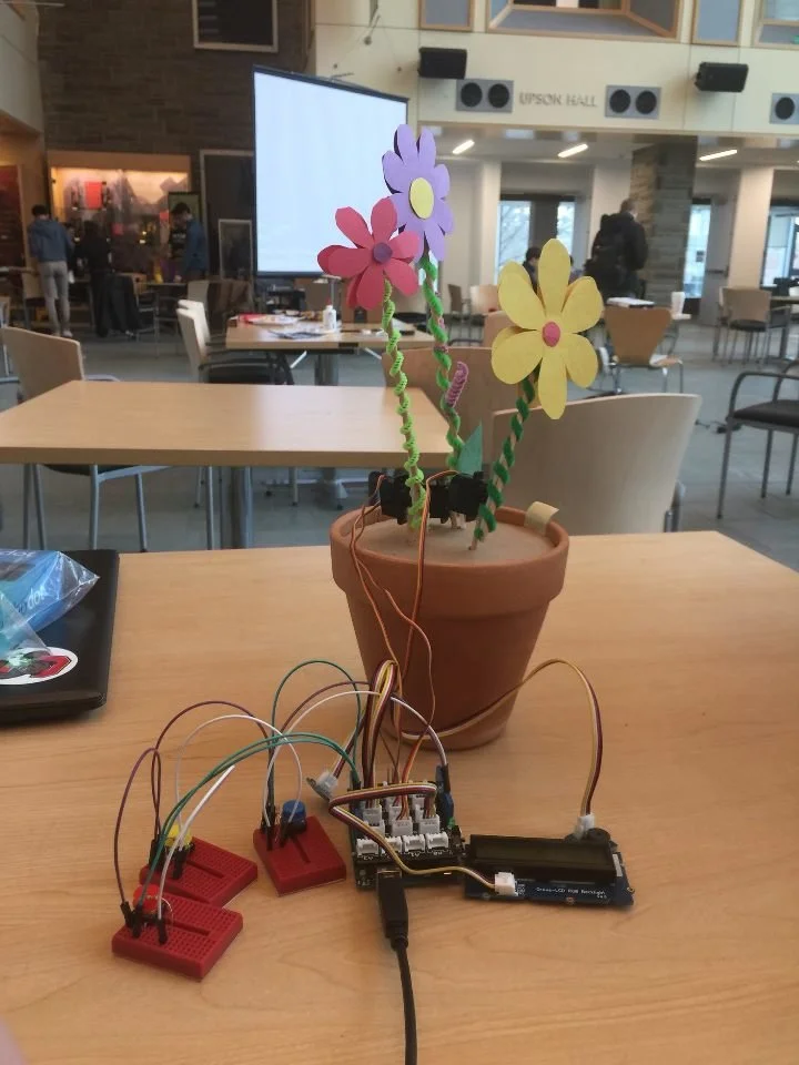 Our finished product, in.bloom!