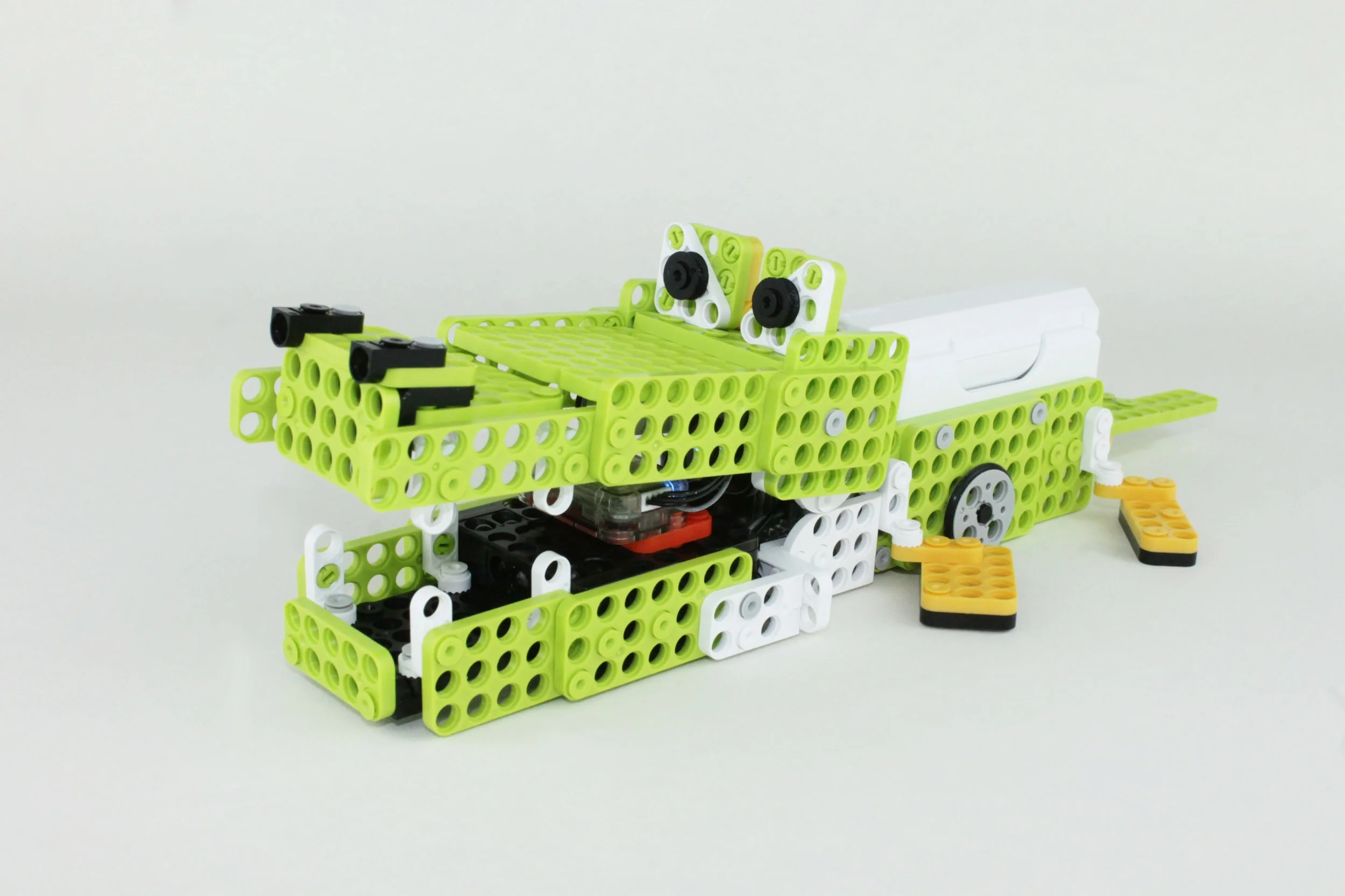 Croc Master.jpg