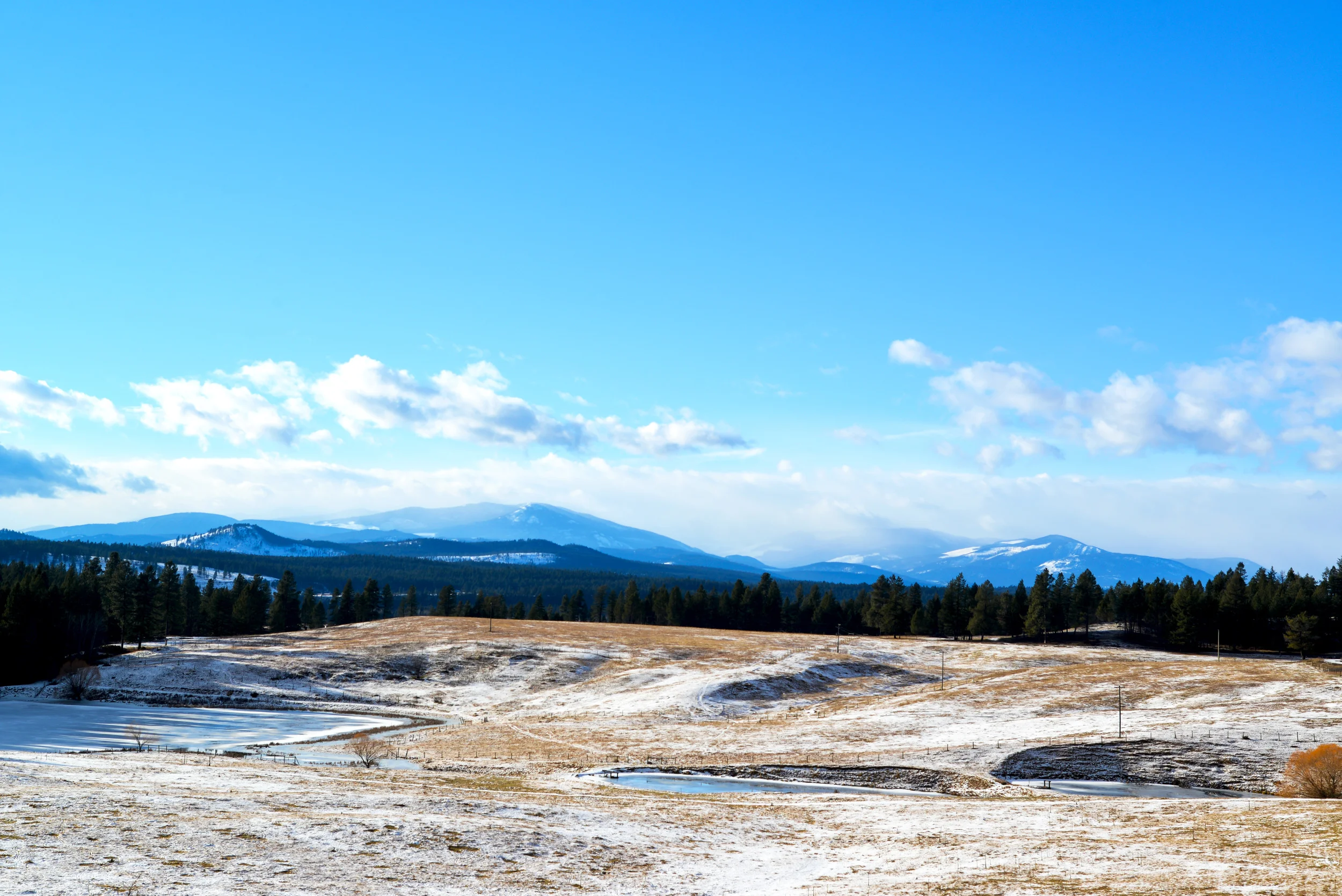 POSTCARD FROM FORT STEELE