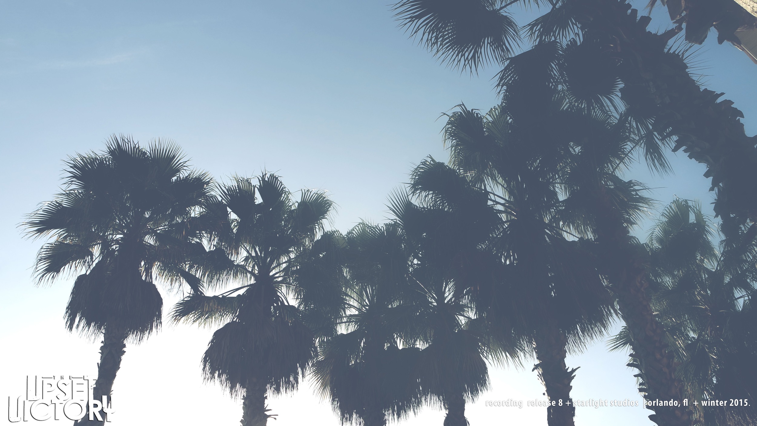 palmtreestuv.jpg