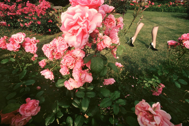Guy Bourdin, from the 'Walking Legs' series 1979