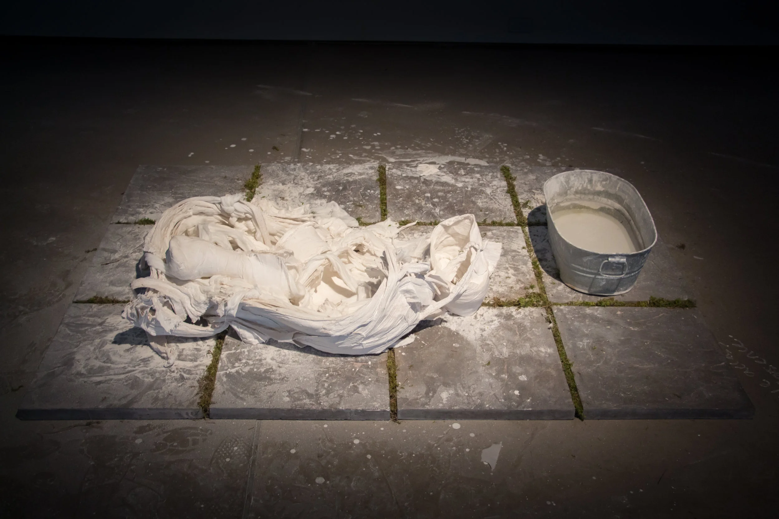 Nympha, performance artifact, Decreation , April 2016