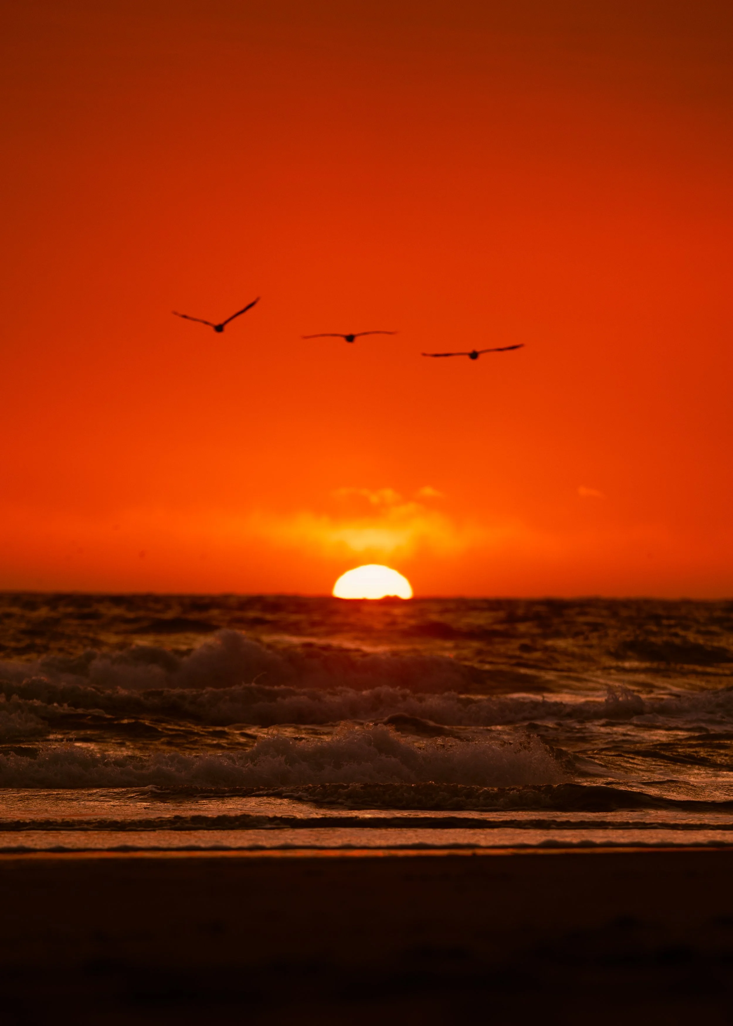 OBSunset_061722_497.jpg