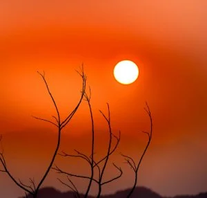 21 Luminous Meditation Quotes