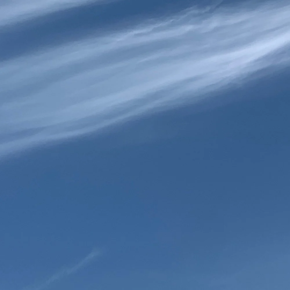 Transformation and Change: Discovering Dynamic Presence