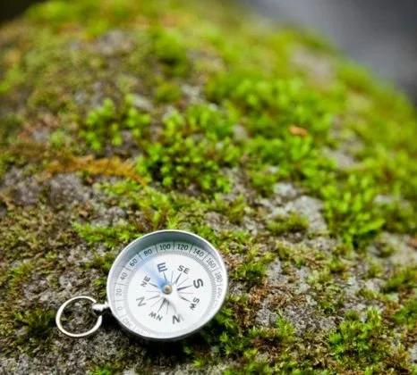 5 Elements Coaching Course.jpg