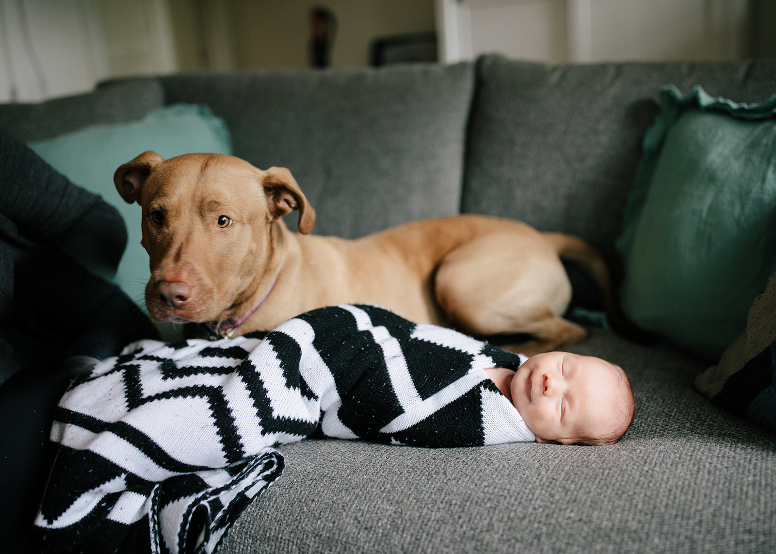 catie-bergman-seattle-family-newborn-lifestyle-photography13.jpg