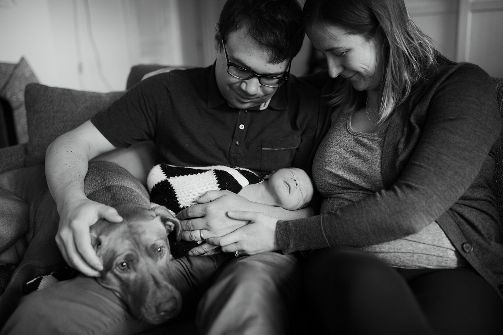 catie-bergman-seattle-family-newborn-lifestyle-photography-dog3.jpg