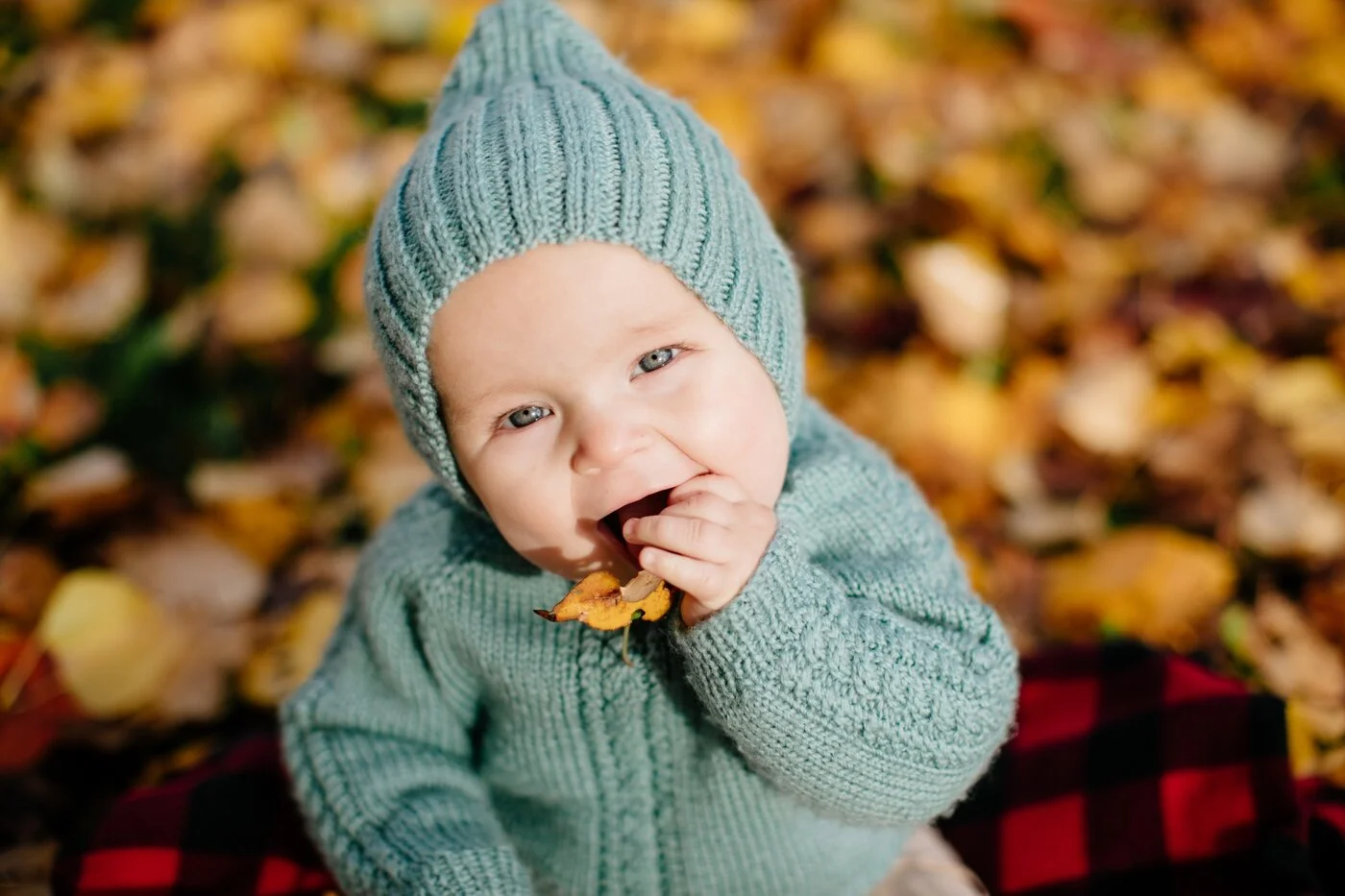fall-seattle-family-lifestyle-photographer_0150.jpg