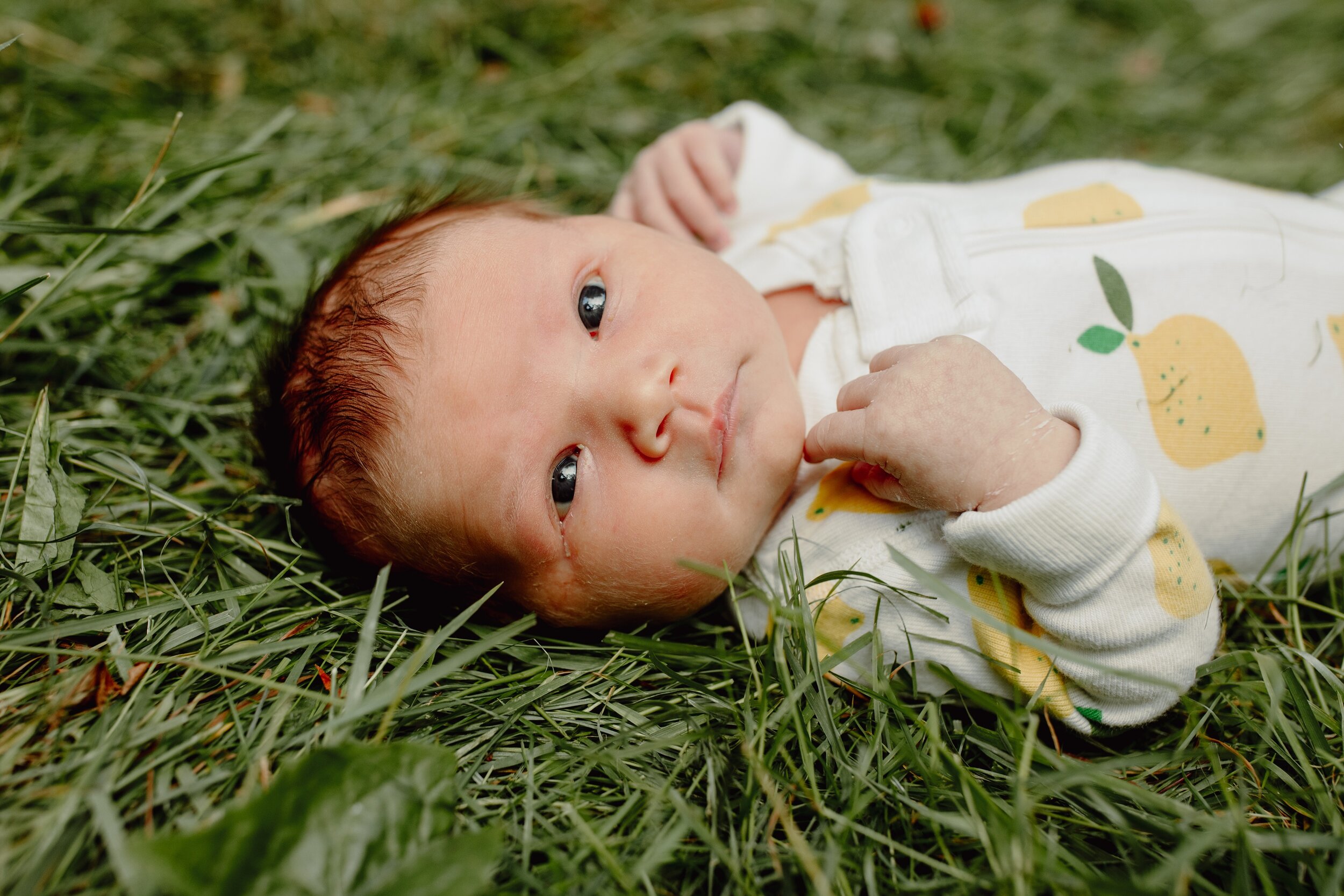 seattle_newborn_lifestyle_photographer_family_photography_ballard_queenanne_0455.jpg