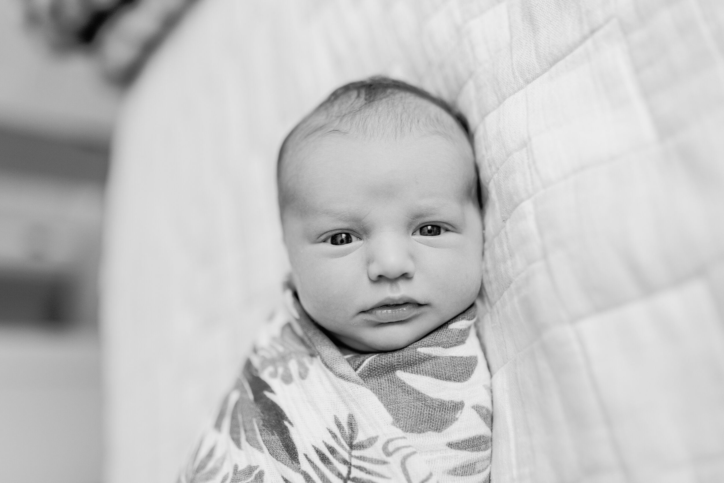 seattle-newborn-lifestyle-photographer-wallingford-fremont-queen-anne-ballard-family_1135.jpg