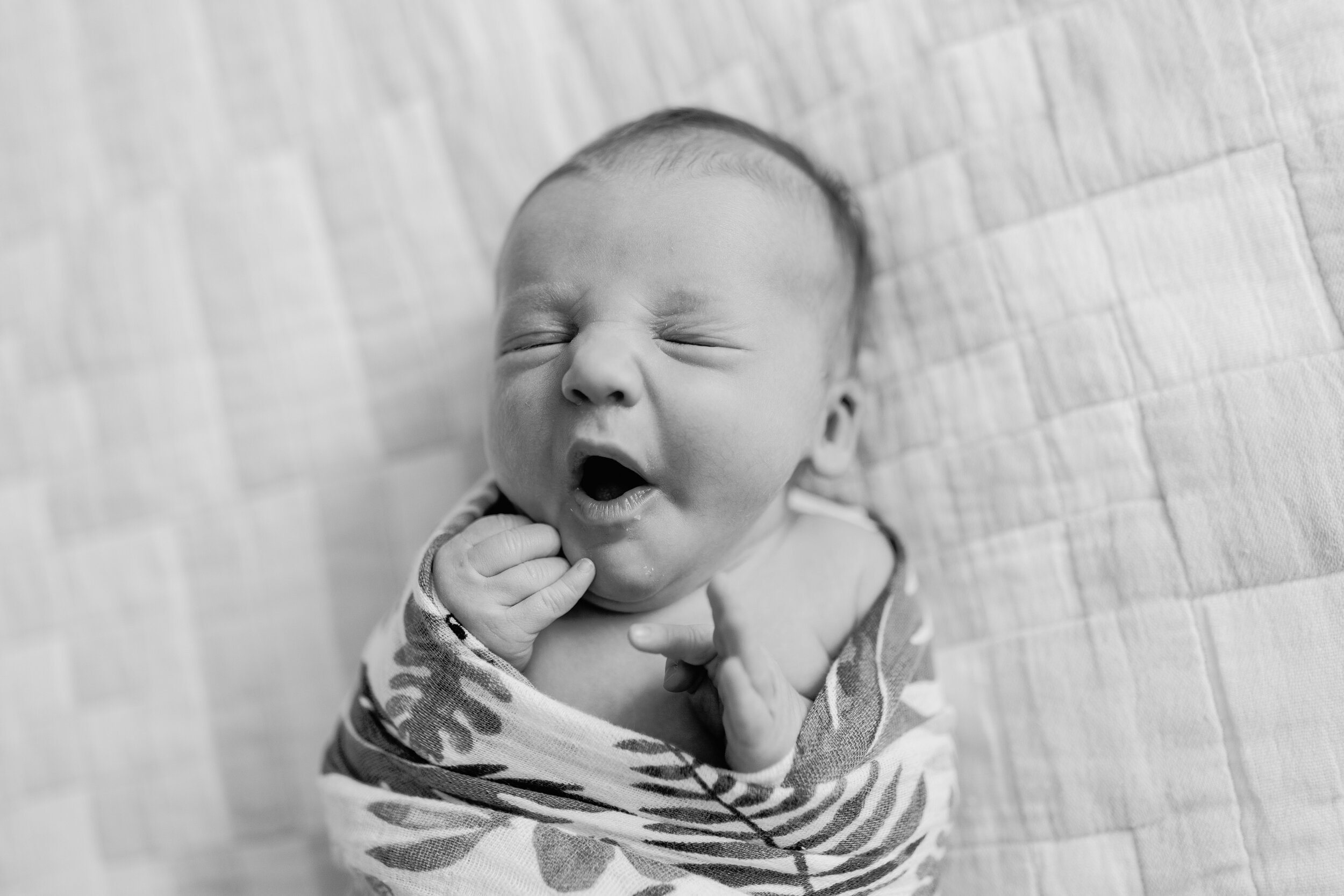 seattle-newborn-lifestyle-photographer-wallingford-fremont-queen-anne-ballard-family_1136.jpg