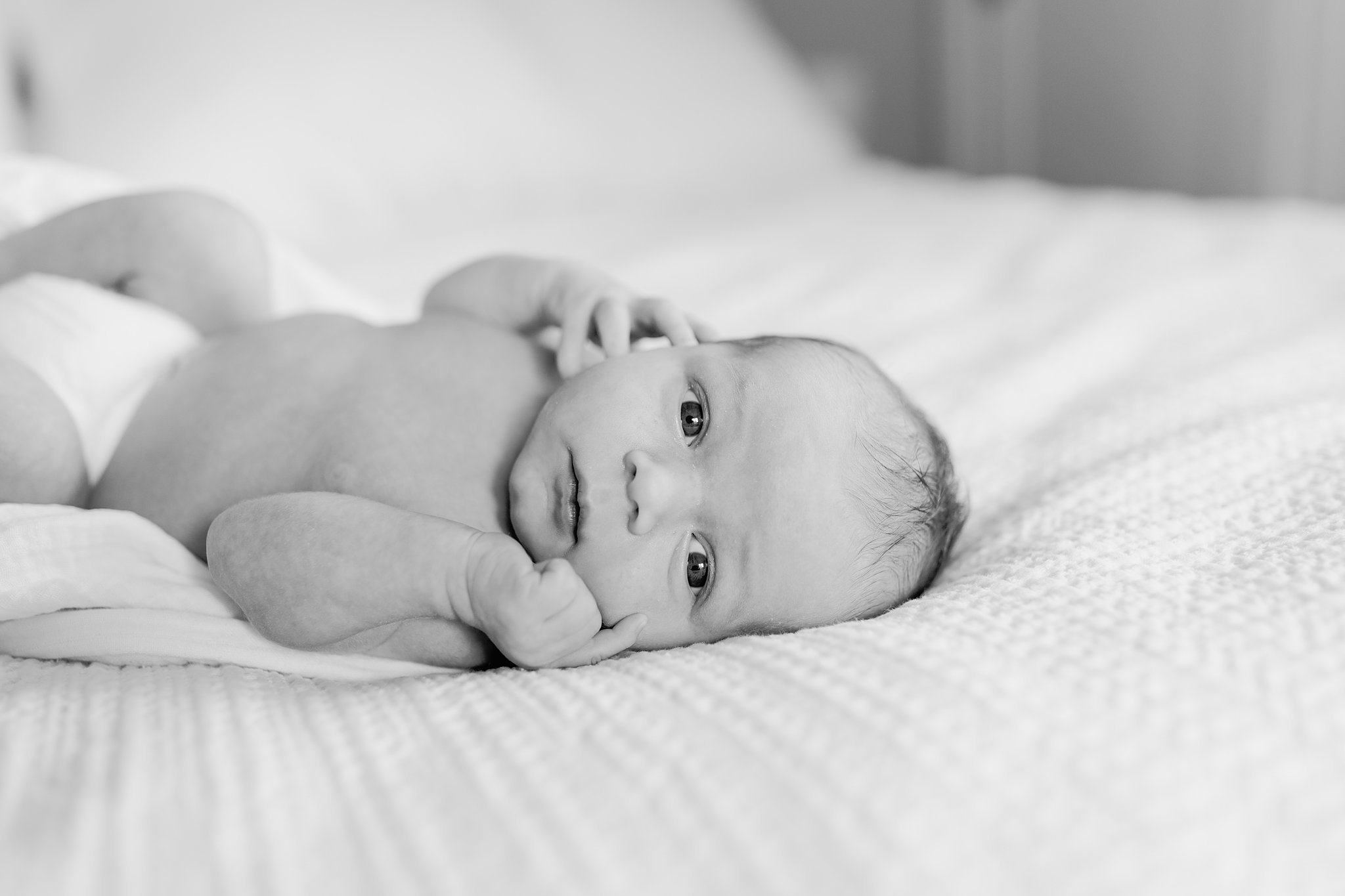 seattle_family_photographer_newborn_photography_northseattle_fresh_48_queen_anne_0152.jpg