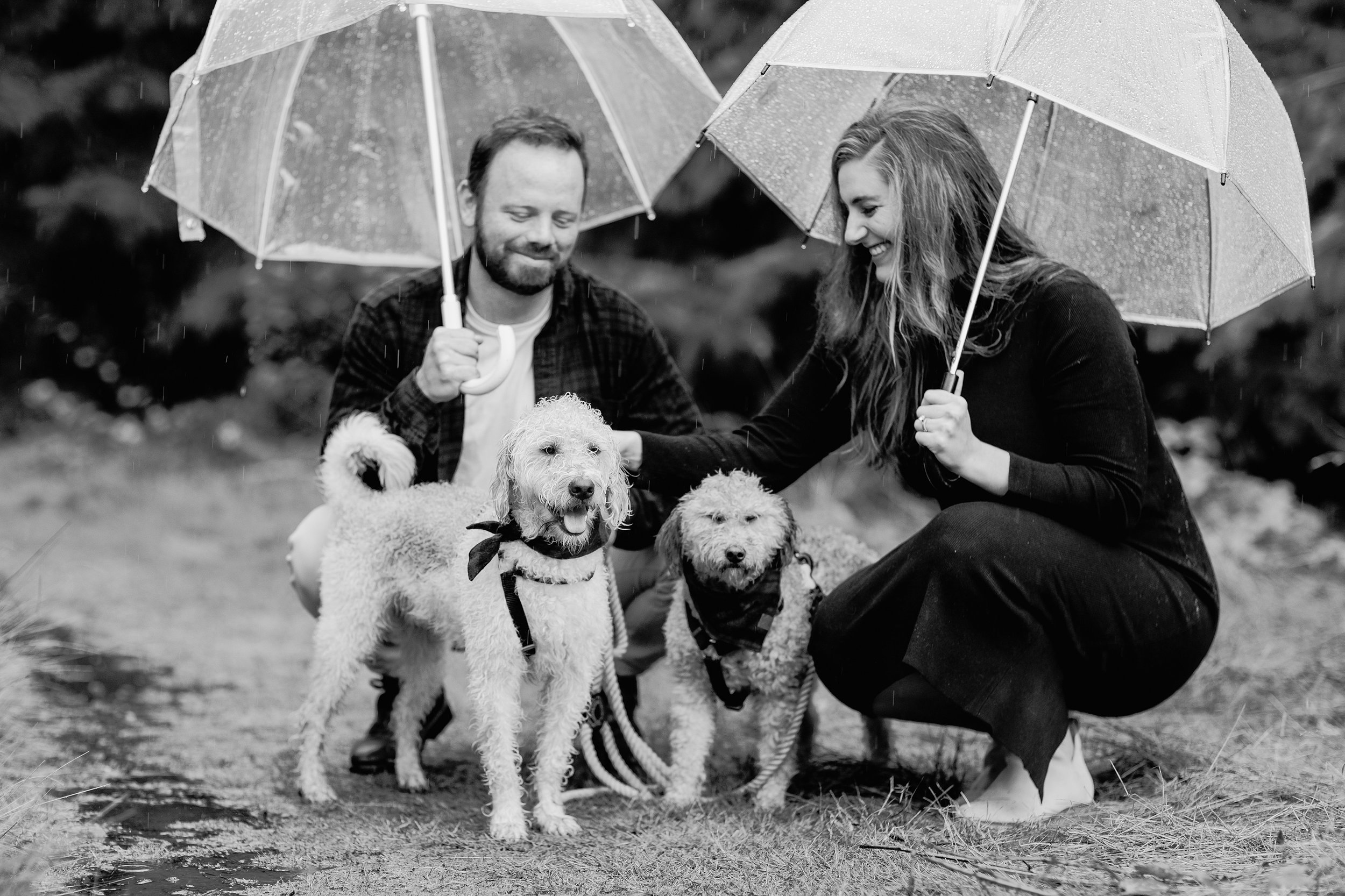 seattle_dog_puppy_maternity_session_newborn_photography_baby_home_lifestyle_fresh_48_session_pnw_0103.jpg