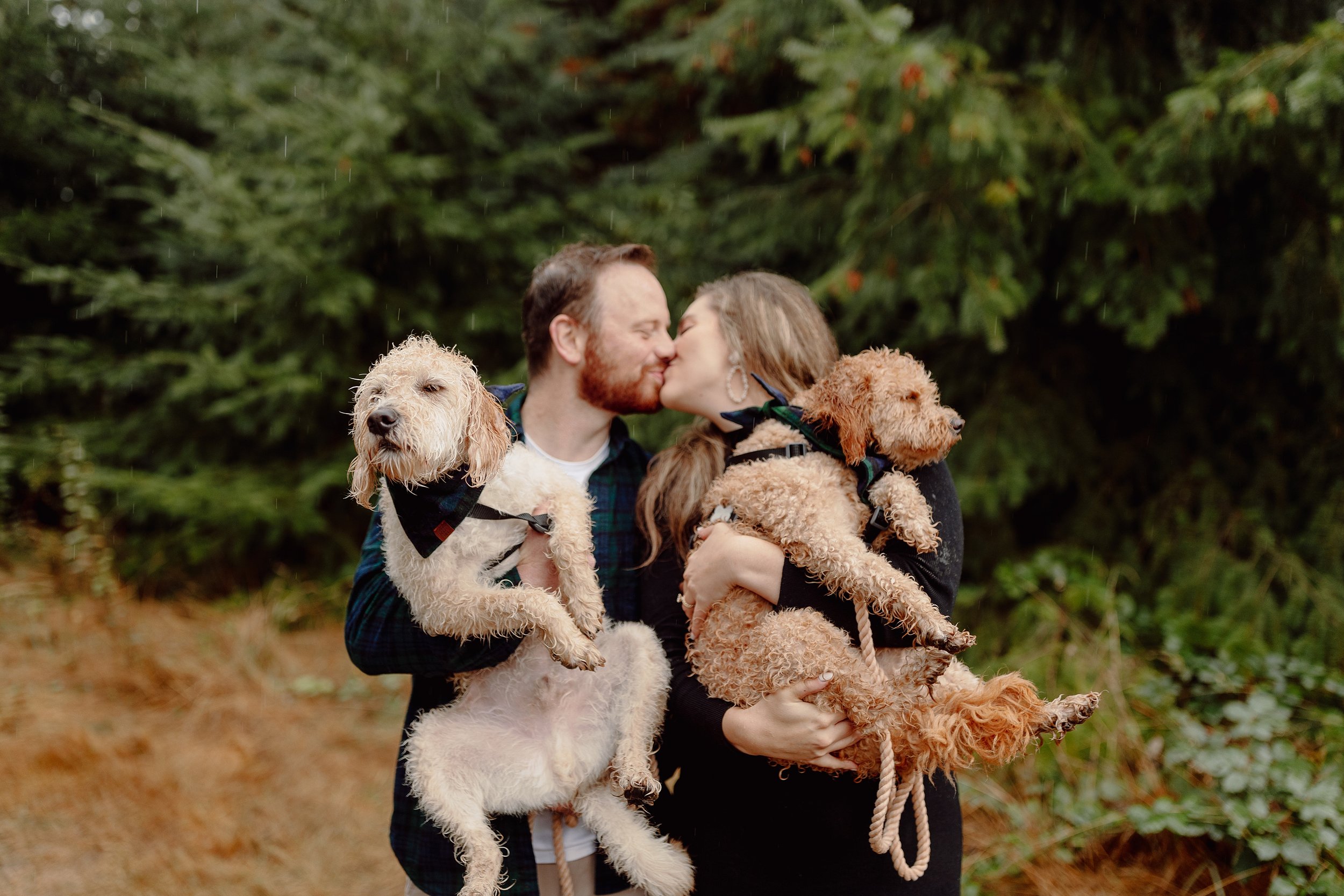 seattle_dog_puppy_maternity_session_newborn_photography_baby_home_lifestyle_fresh_48_session_pnw_0106.jpg