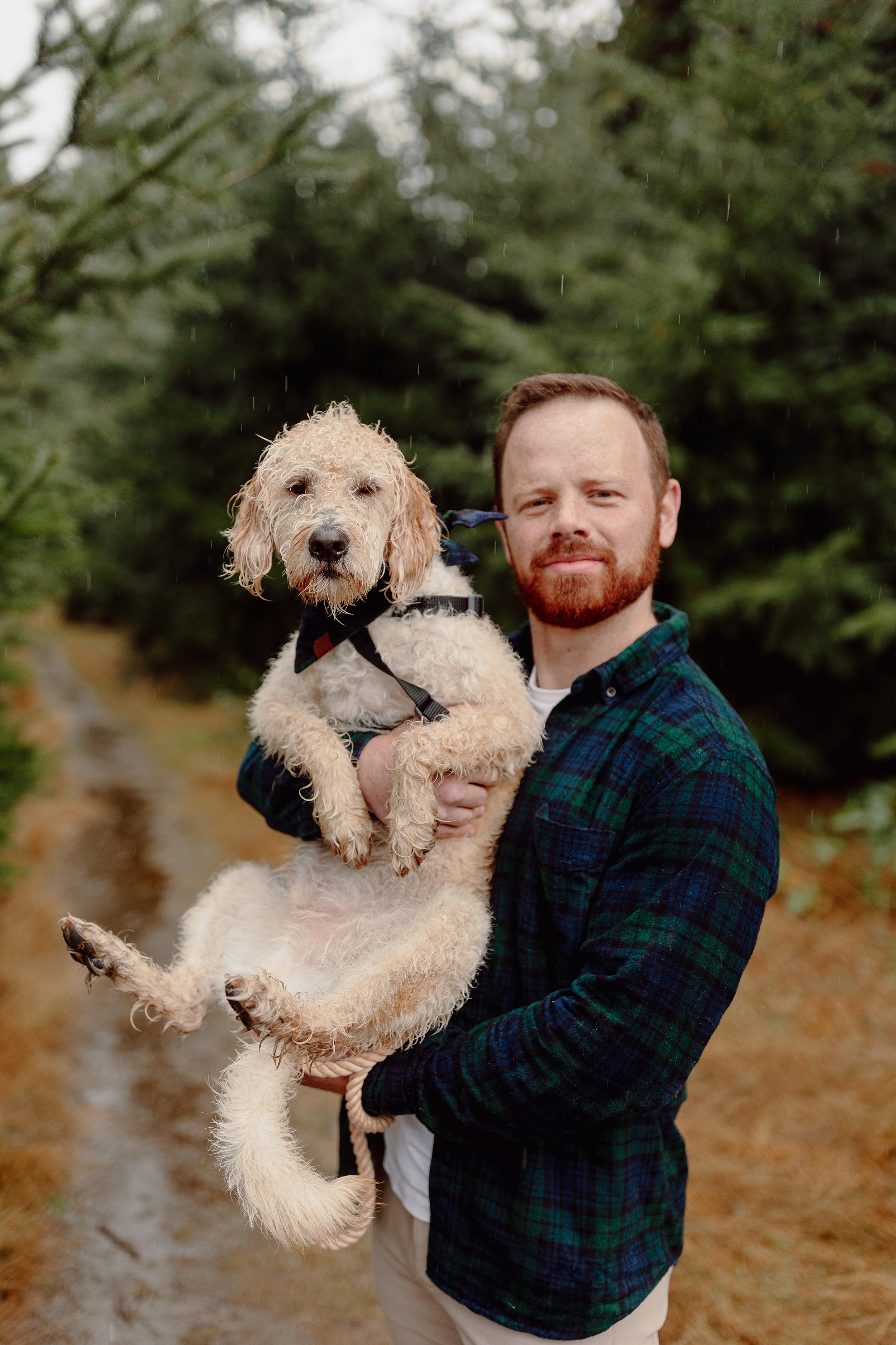 seattle_dog_puppy_maternity_session_newborn_photography_baby_home_lifestyle_fresh_48_session_pnw_0109.jpg