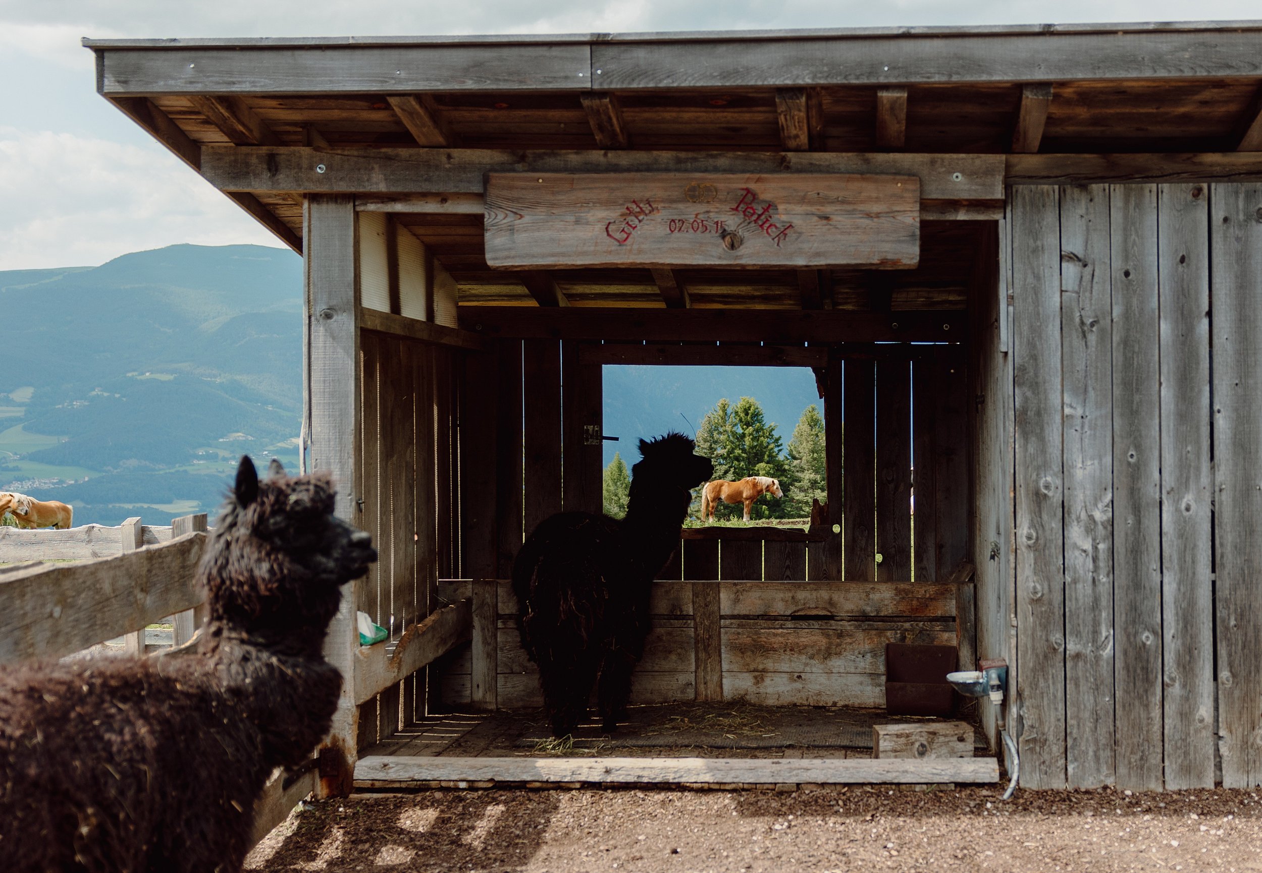 seattle_family_newborn_photographer_travel_dolomites_mountain_photographer_alps_italy_camper_van_catie_bergman_photo_0090.jpg