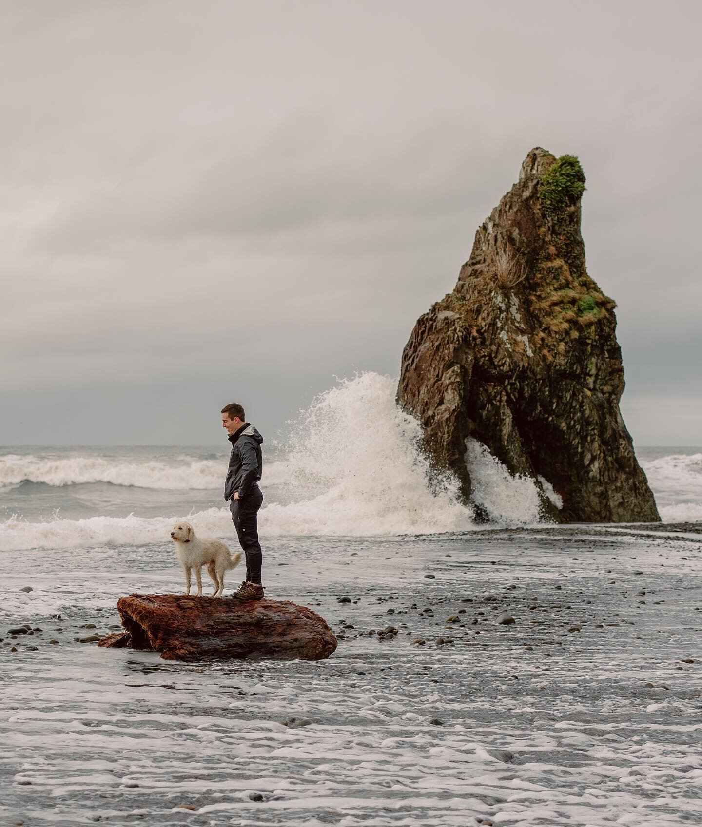 A man and his (tide cautious) dog. 

Scroll right for the reality of this moment. 😂