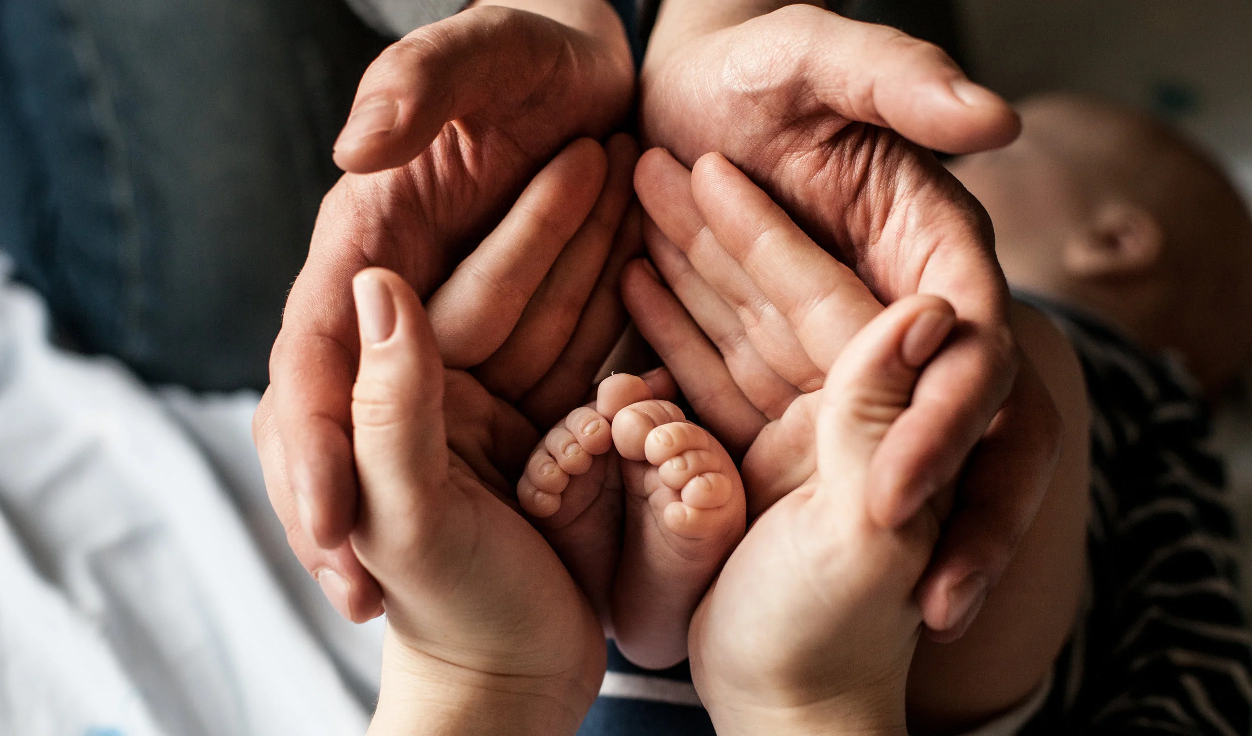 iStock-518622486.jpg