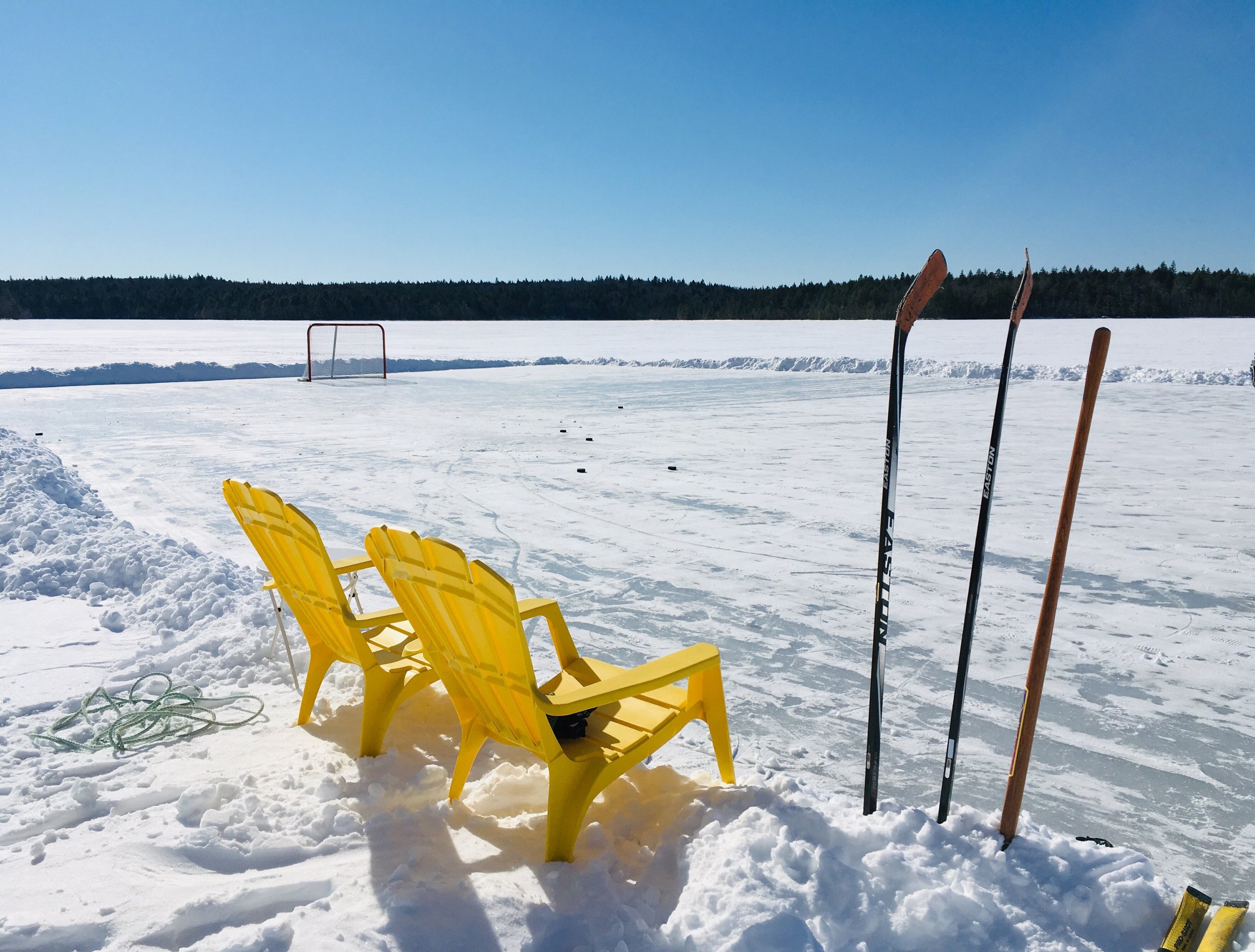 chair_rink.jpg