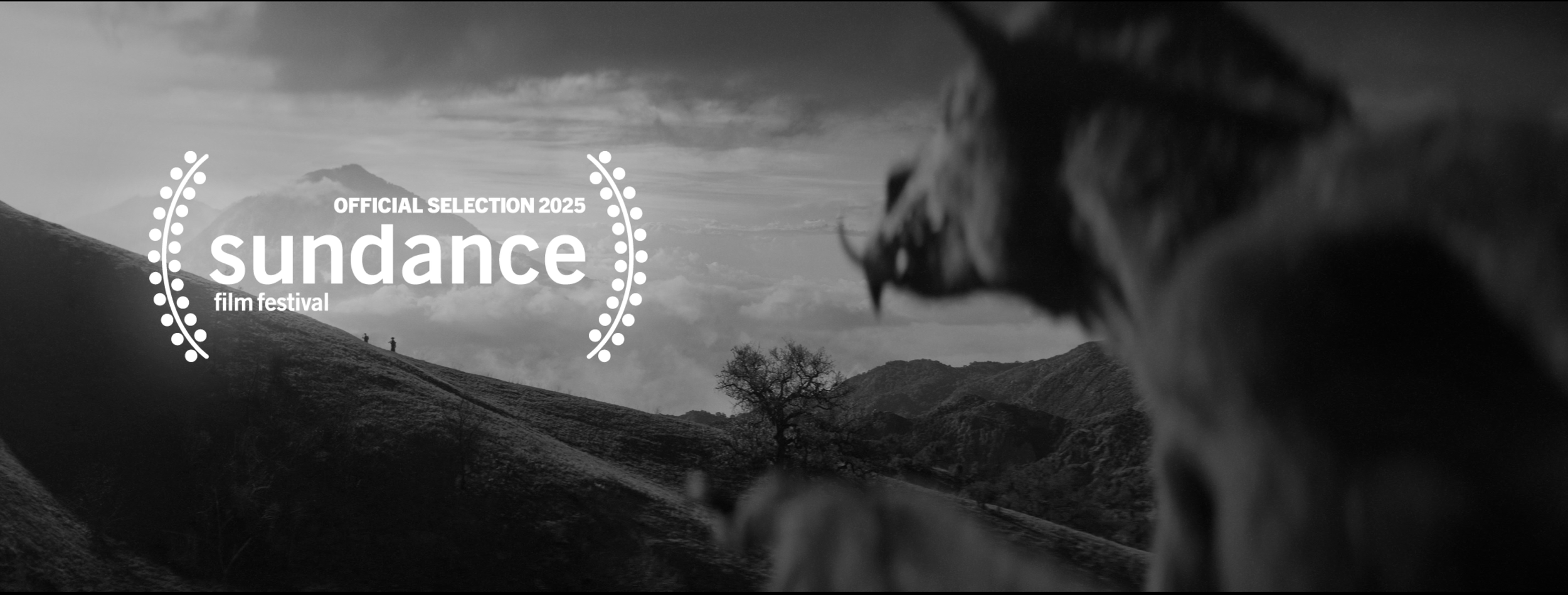 Screenshot 2024-12-16 at 2.20.27 AM.png