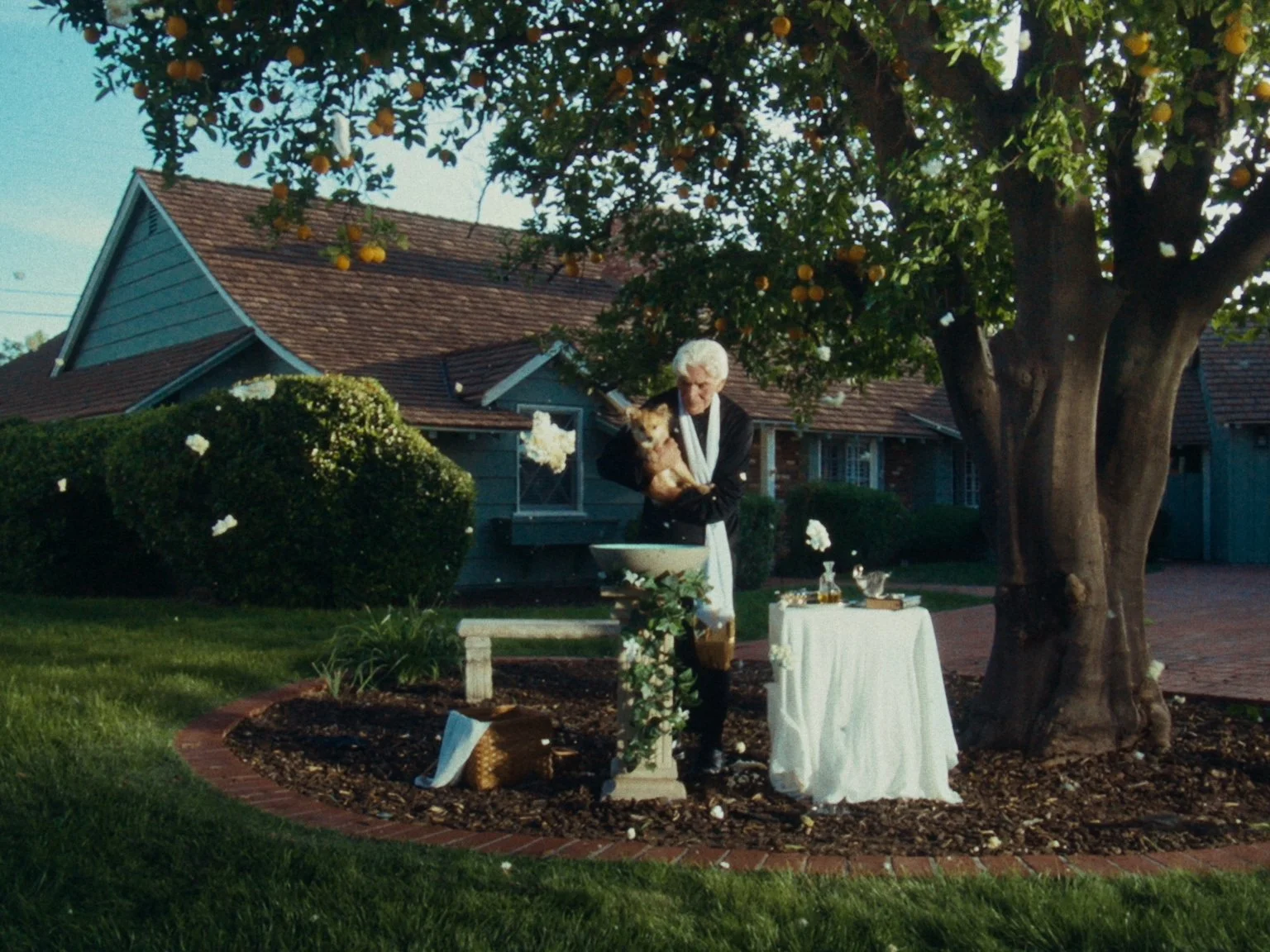 Still 2026-04-20 231120_1.1.29.jpg