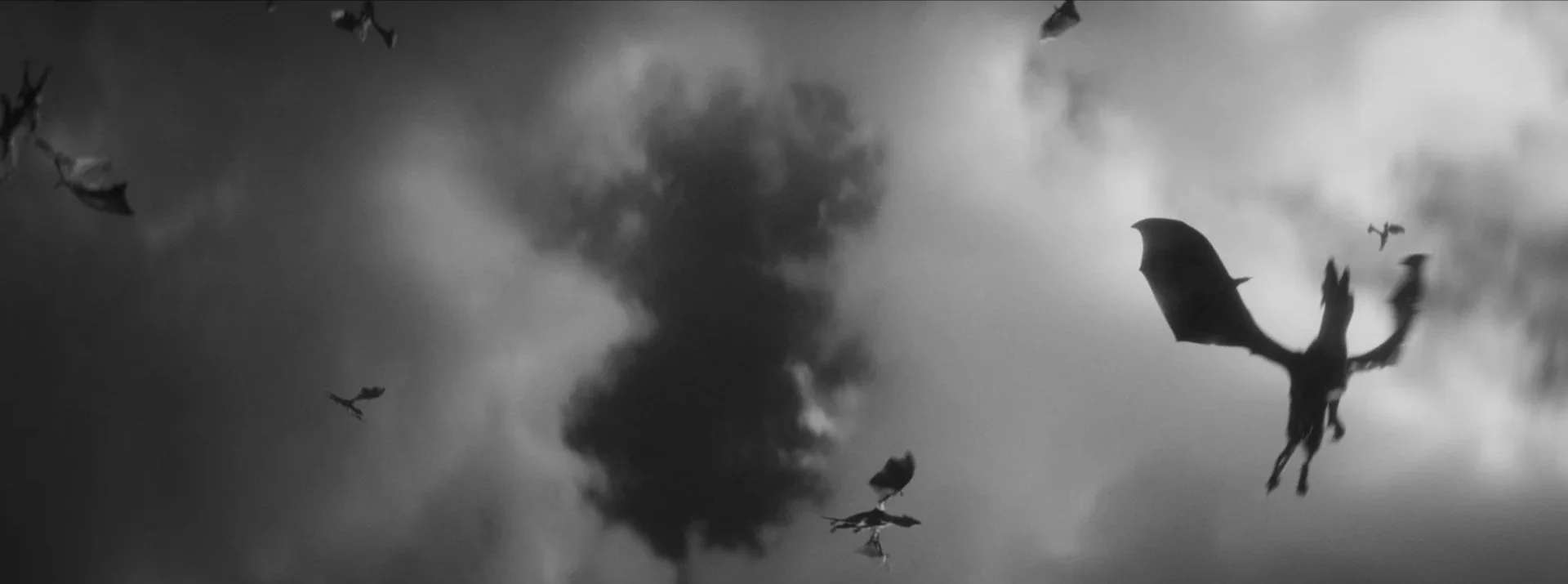 Untitled_1.36.1.jpg
