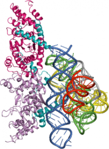 biochem image.png