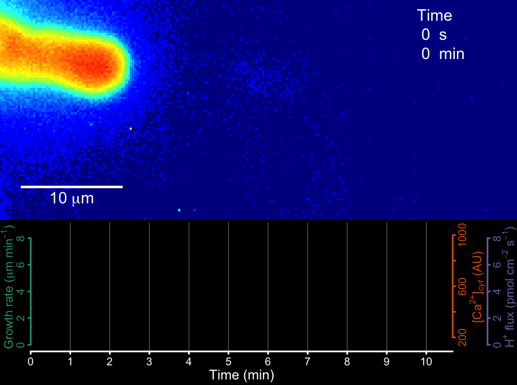 Finding the Rhythm of Life with CHUKNORRIS