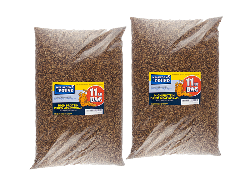 Dried Mealworms 22 LB — Mealworms by the Pound