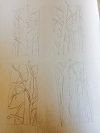 Sketches for a Sycamore Commission, Four Paintings Will Be Developed.