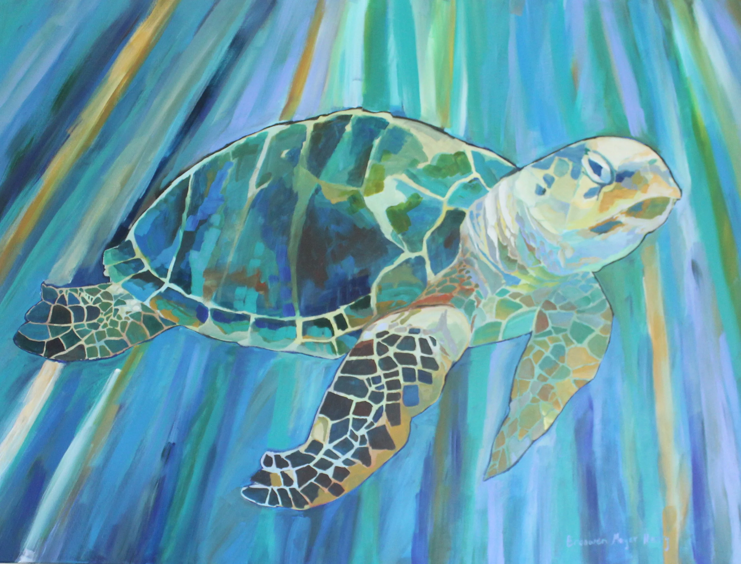 CreatedtoBe.SeaTurtle..JPG