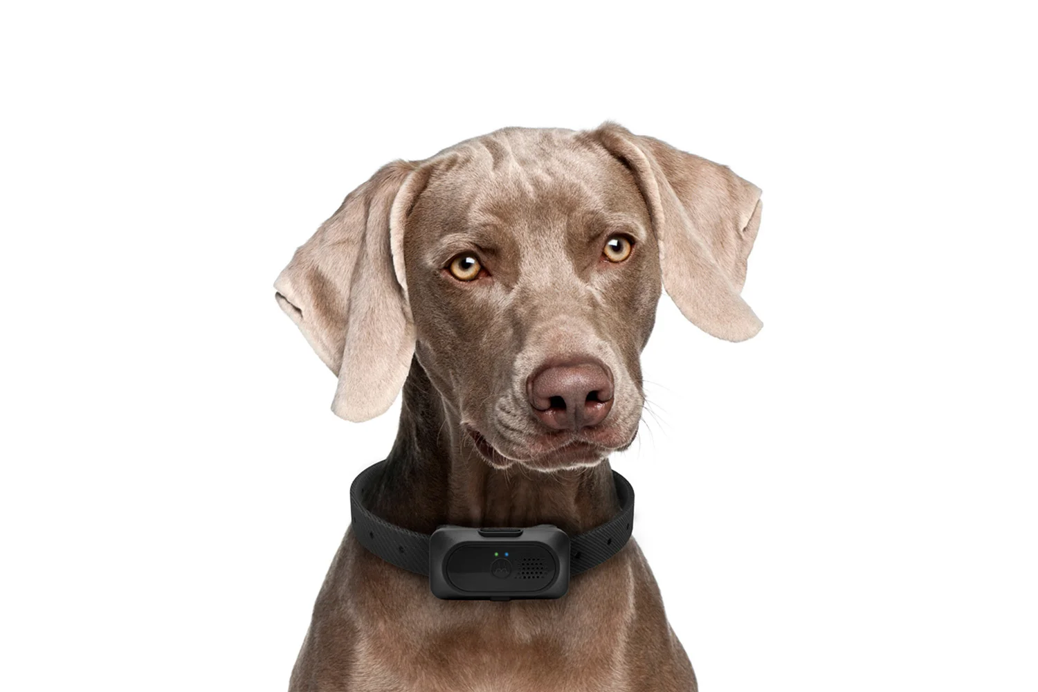 Motorola Pet Training Series, Product Design