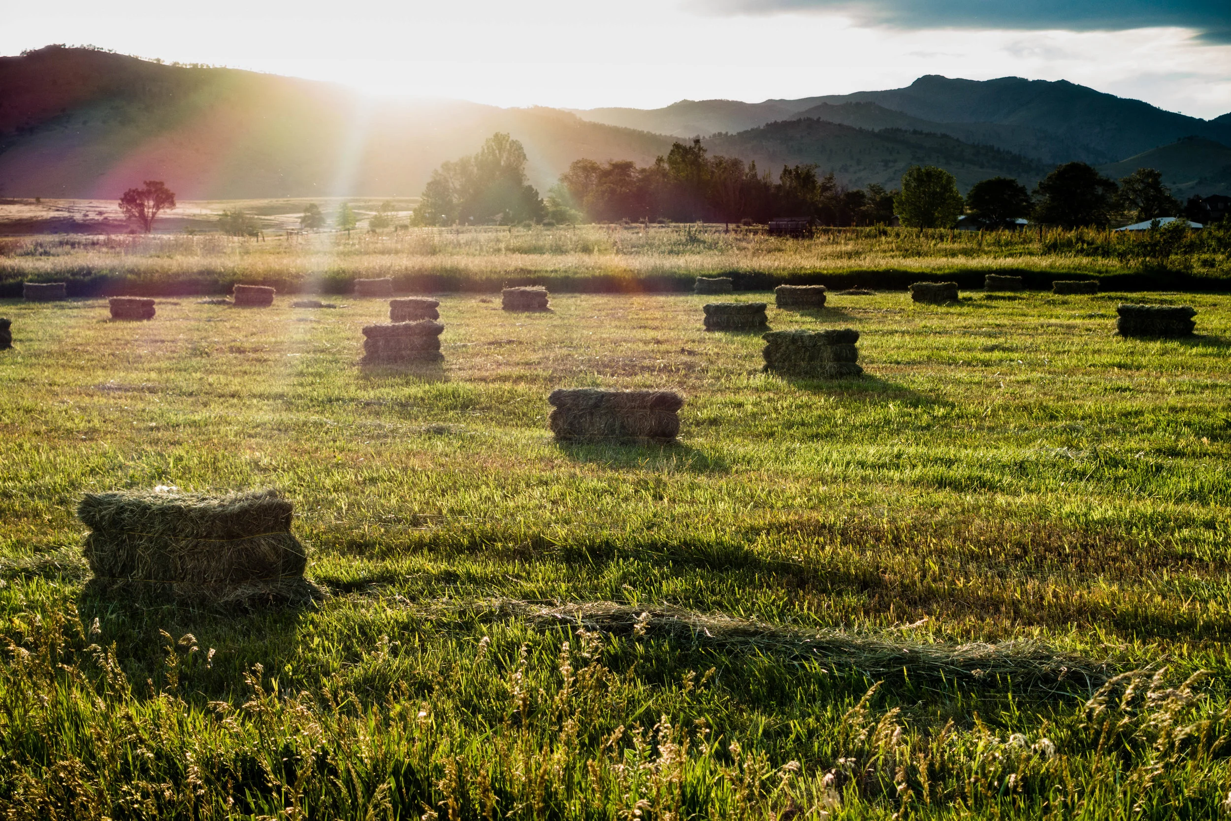 Boulder Valley Ranch