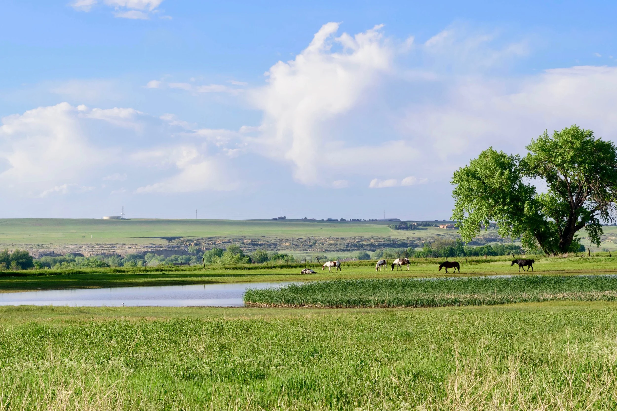 Teller Farm