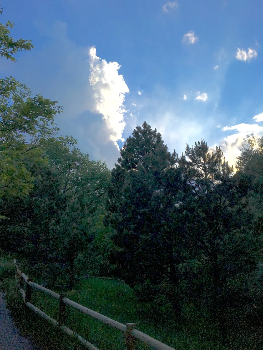 Sanitas Valley