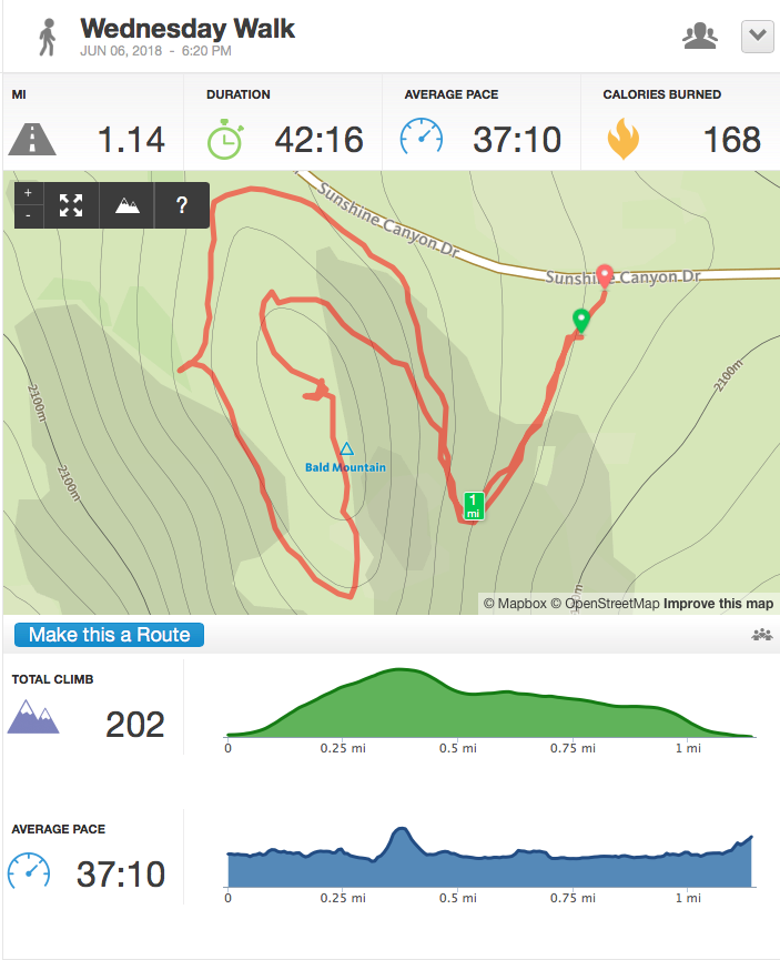 Screen Shot 2018-06-07 at 10.38.51 AM.png