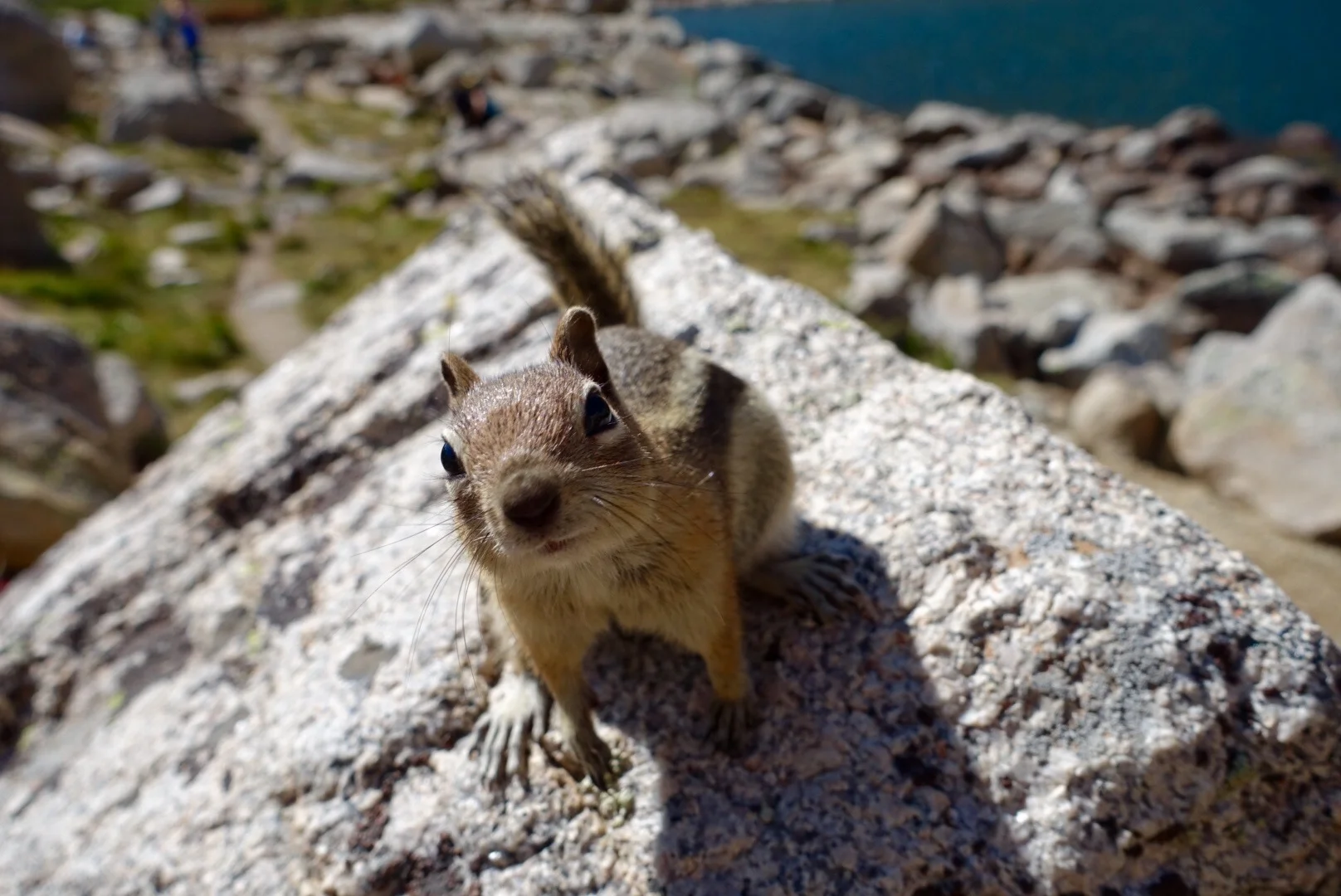 Frequently Asked Questions