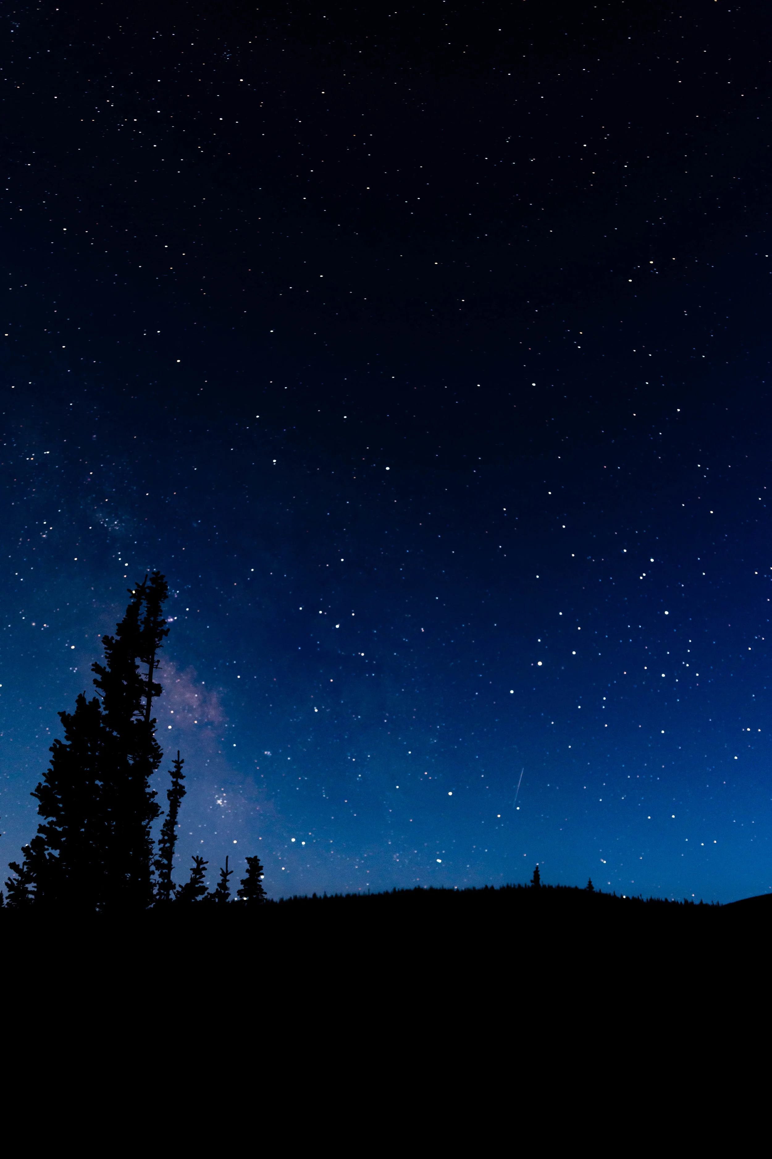 Southern sky, with part of the Milky Way, and a meteor (from the Perseids).