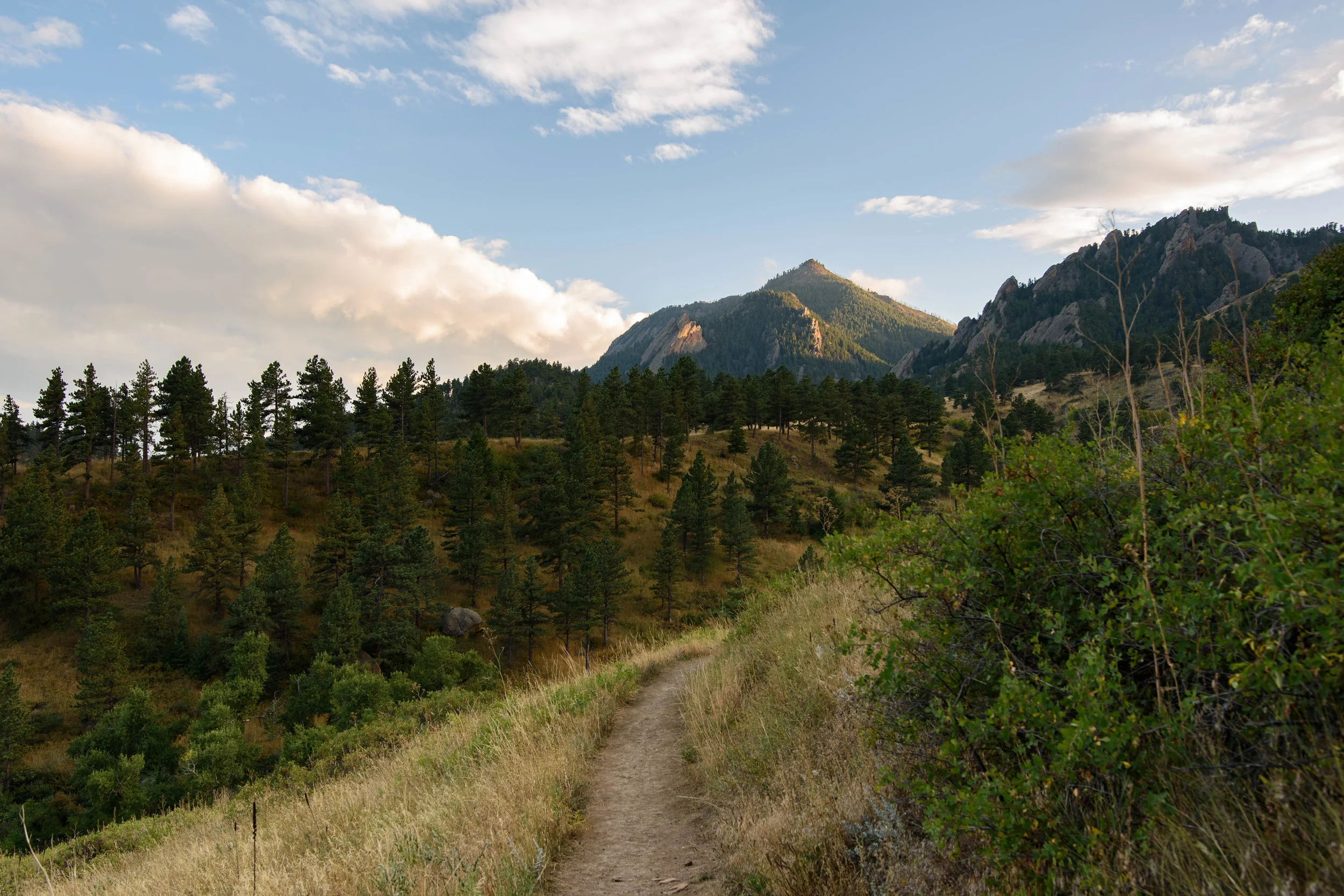 Skunk Canyon