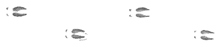moose-tracks.png
