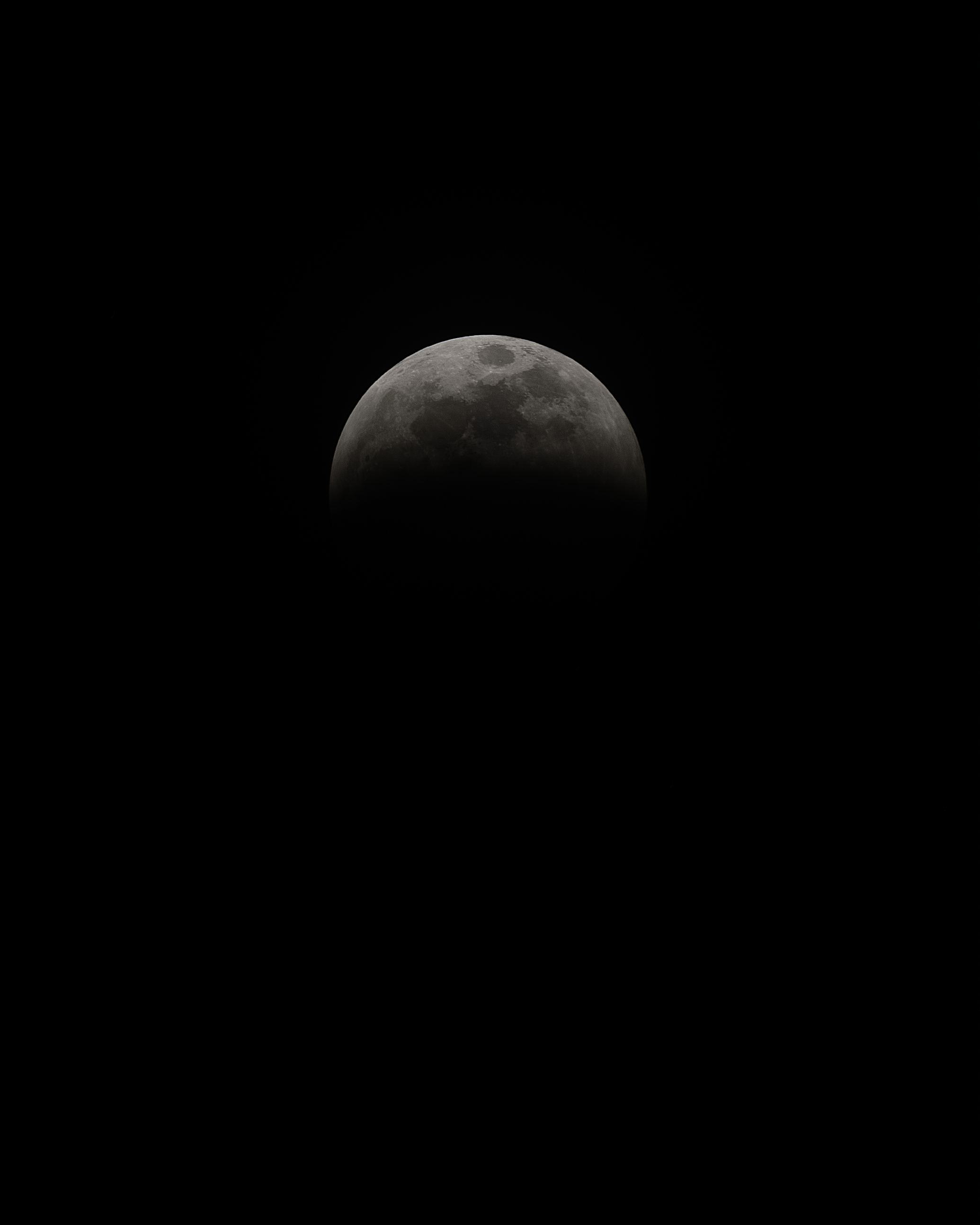 Coyote Moon
