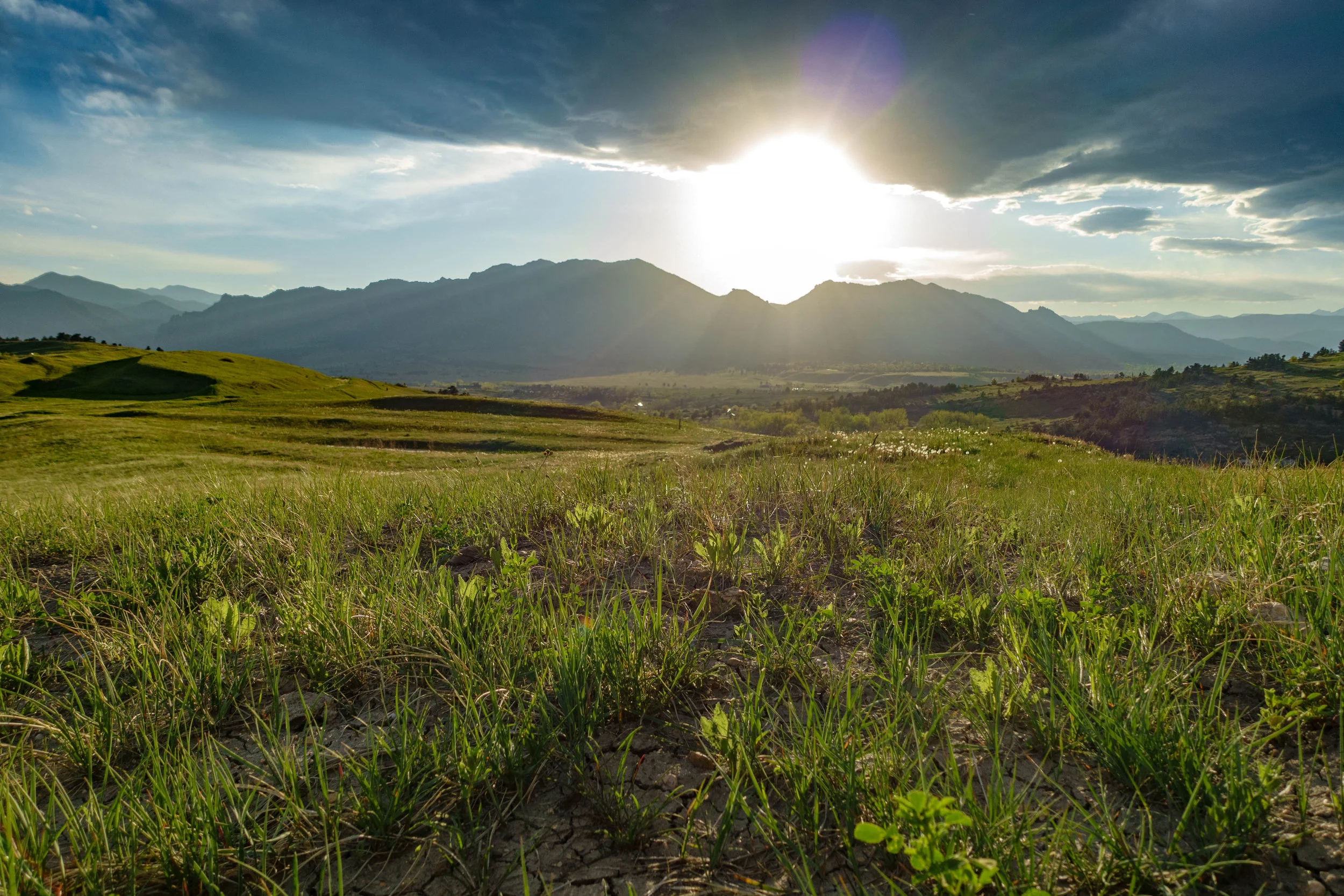 DSC02175-HDR.jpg