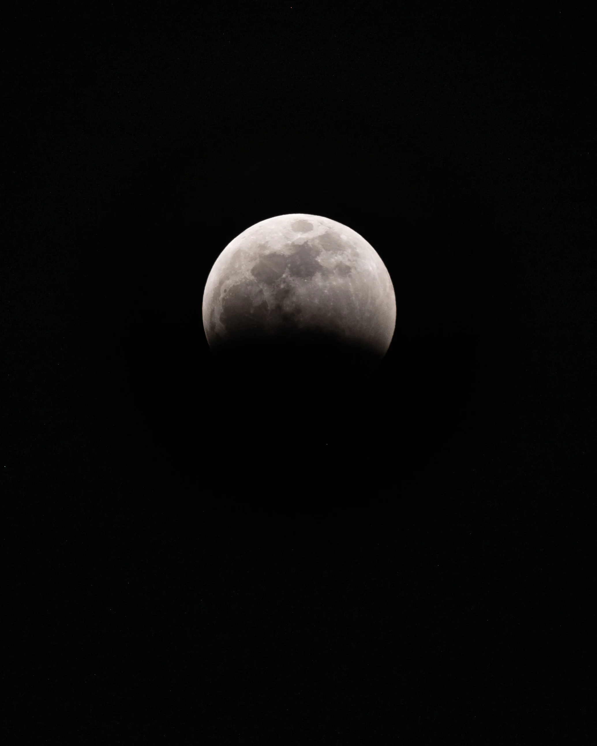 DSC_2017.jpg