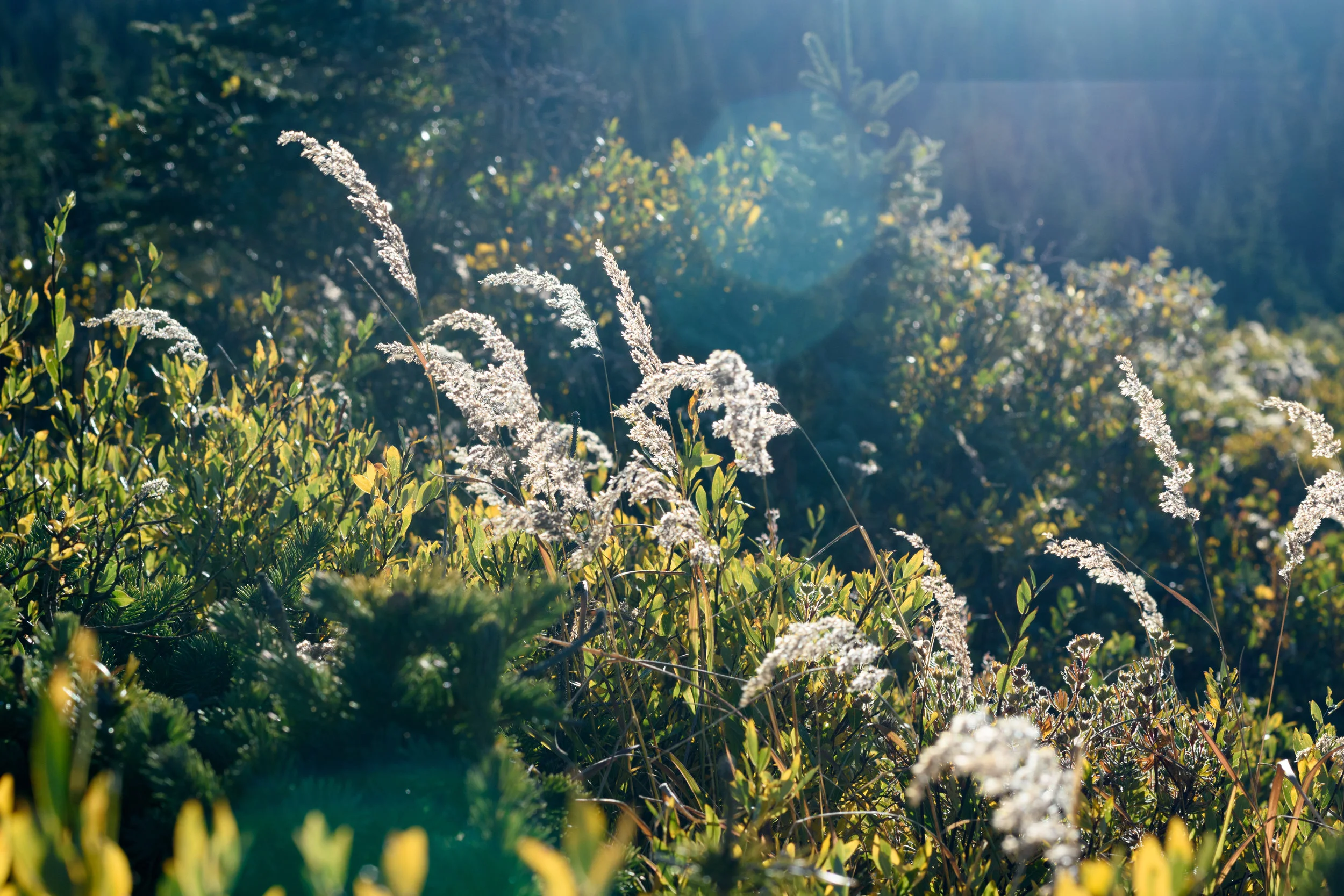Autumn Equinox
