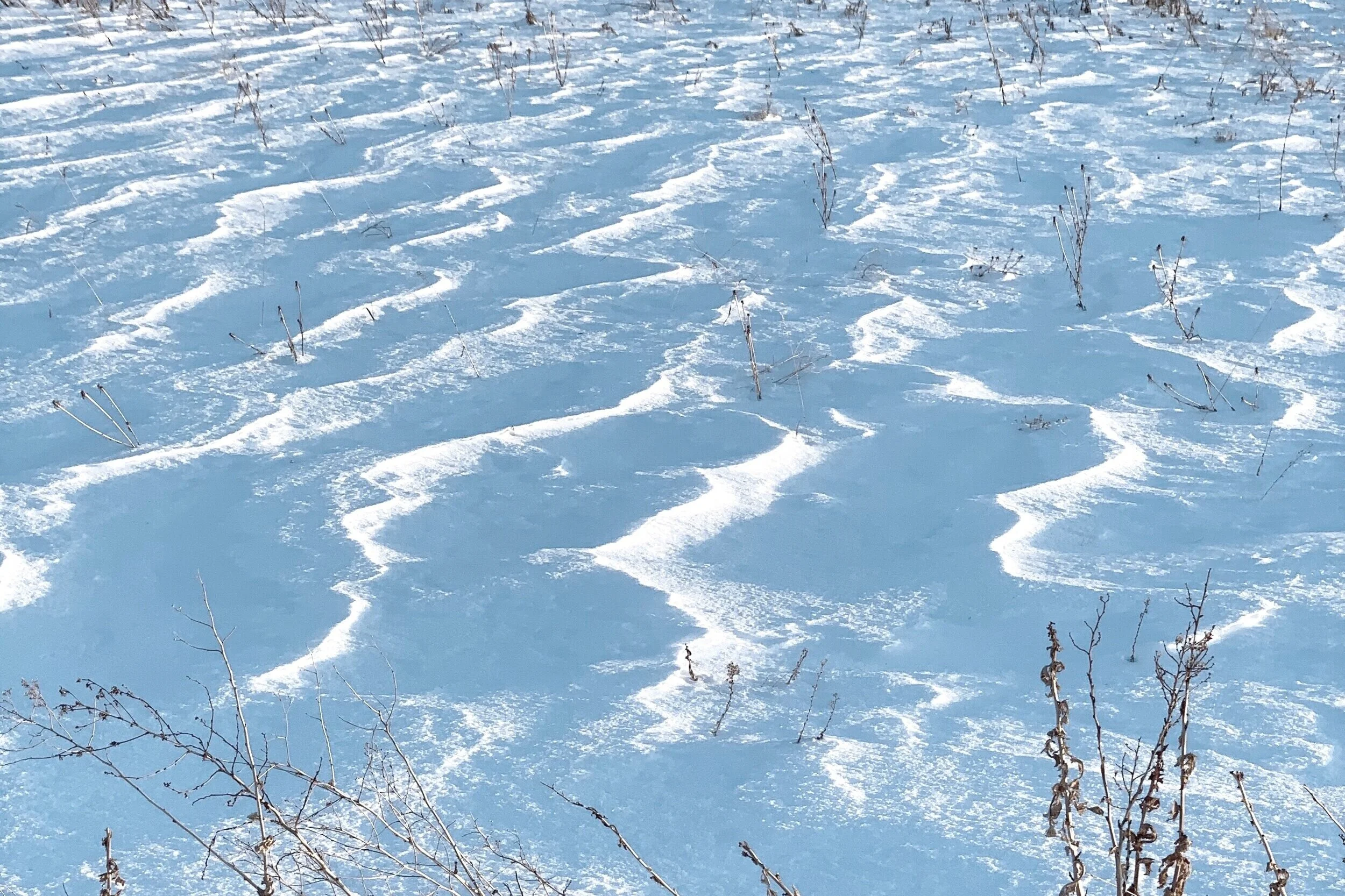 This December Snow