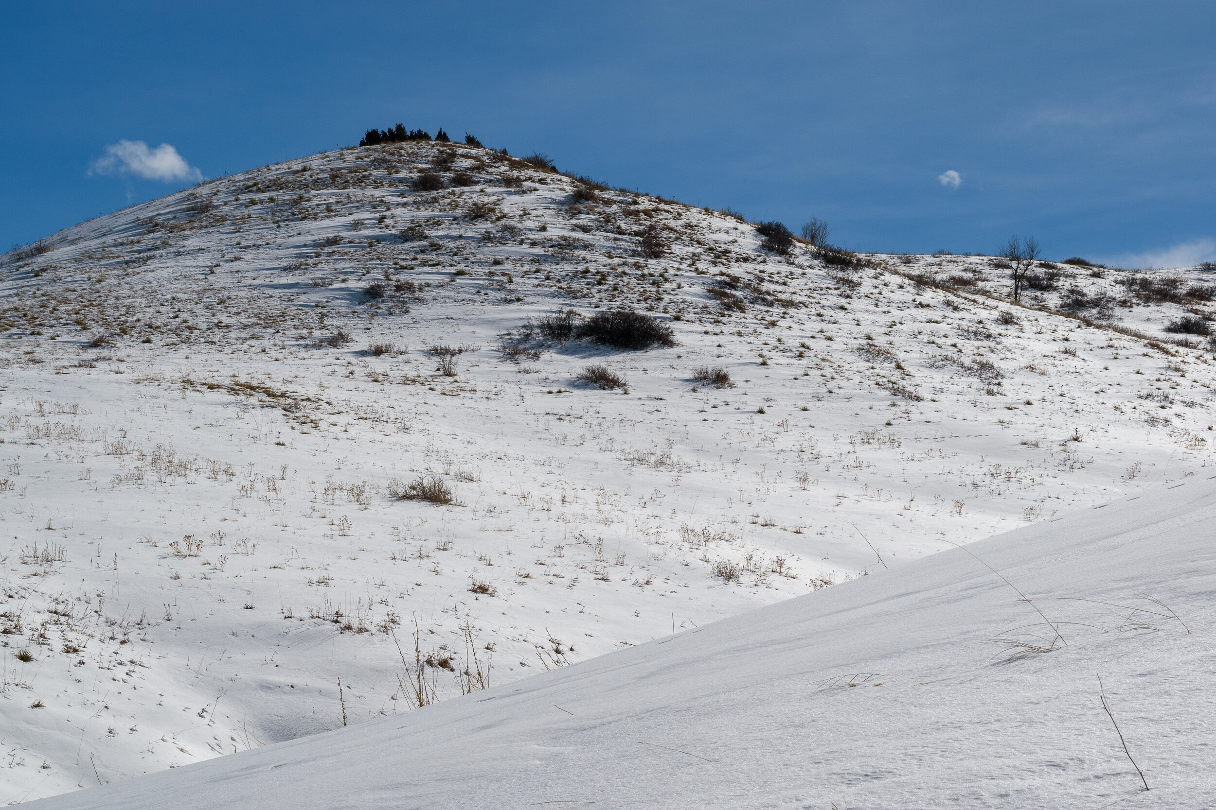 Winter 2019-2020